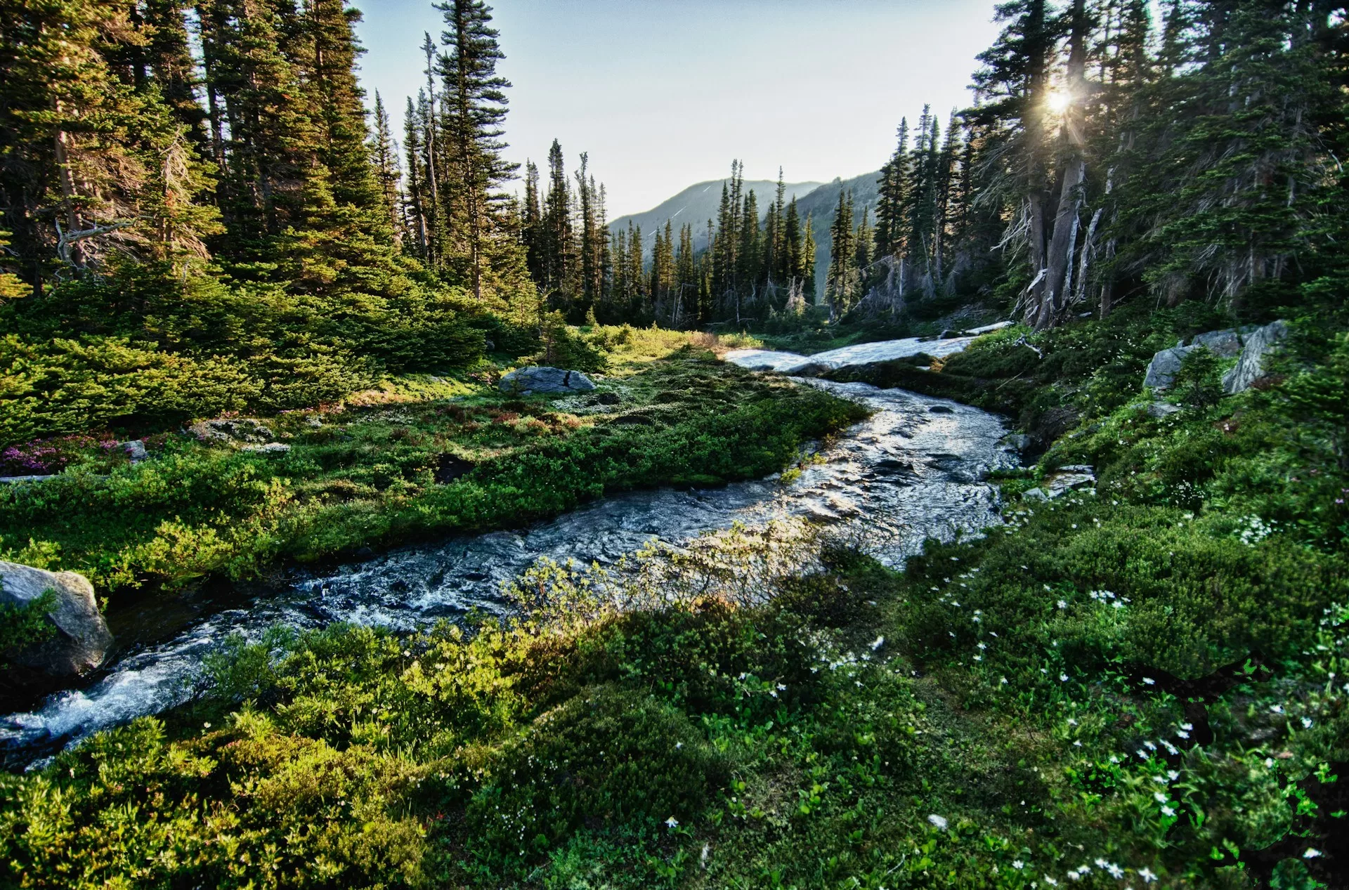 Port Angeles met haar stromende beekjes in Olympic National Park in Washington State
