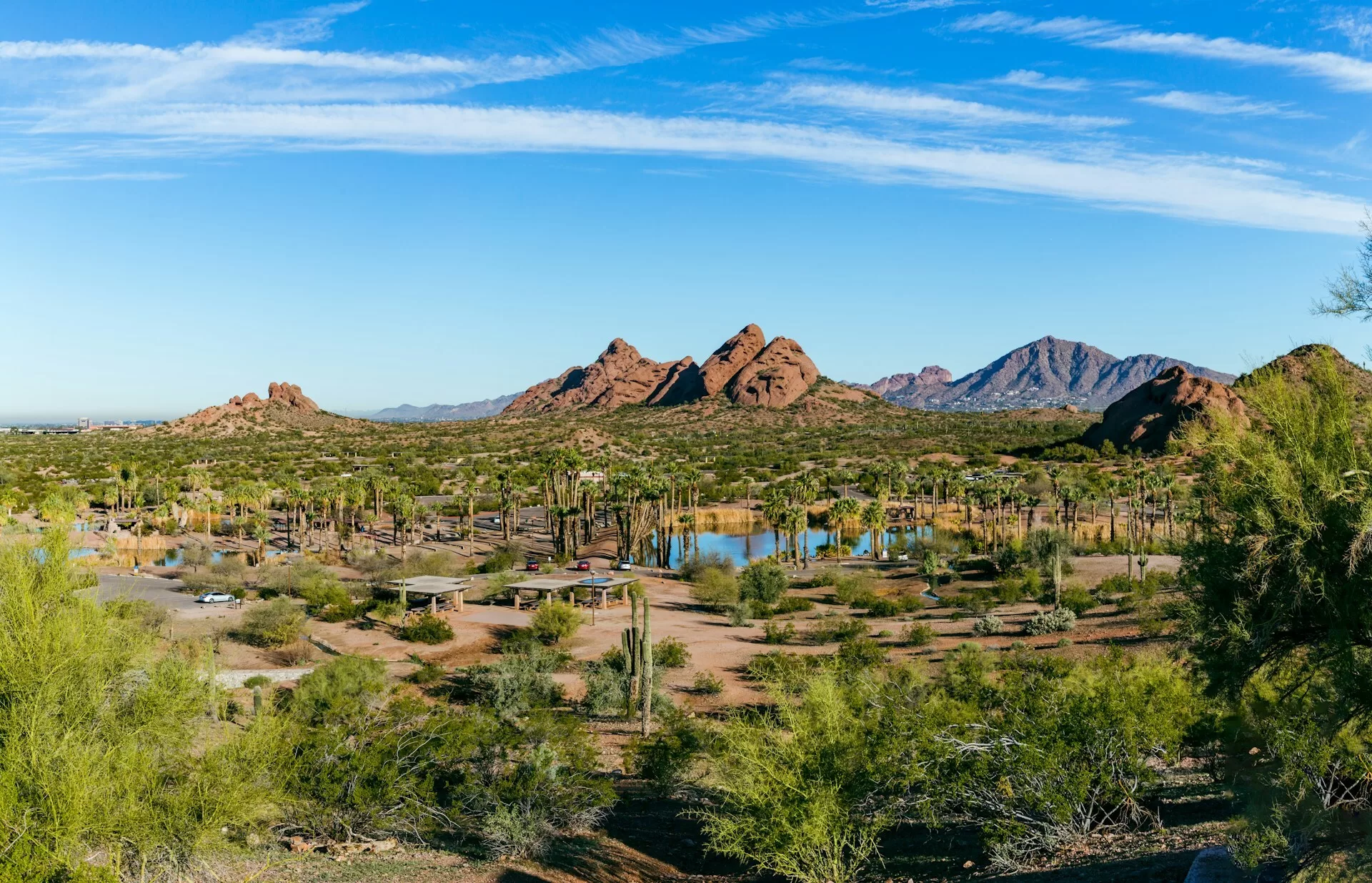 Picknickplaatsen in Papago Park Phoenix met rondom cactussen en waterpartijen