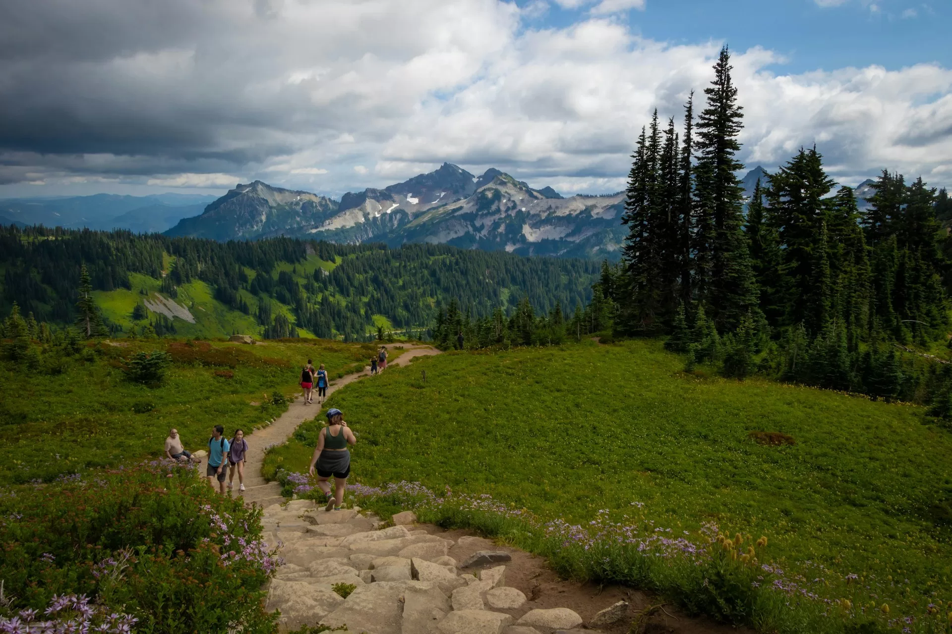 Een wandelpad met wandelaars tussen de bergen van Mount Rainier National Park in Washington State