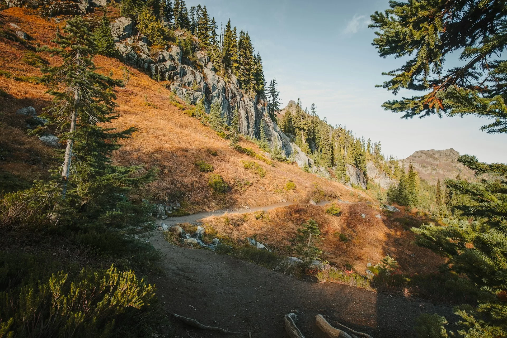Een wandelpad door de bergen van Mount Rainier National Park in Washington State
