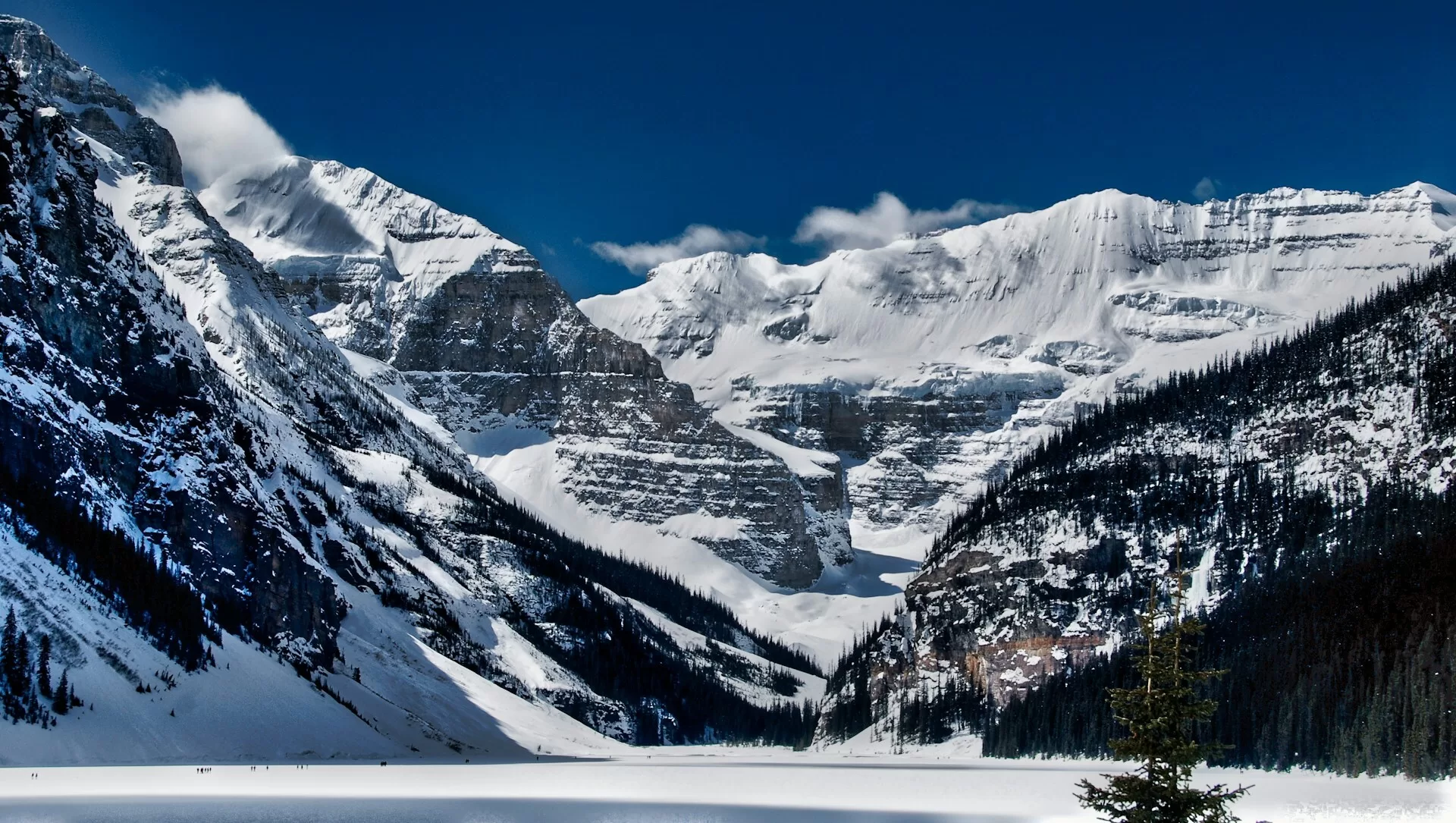 Besneeuwde Rocky Mountains met een winterse omgeving