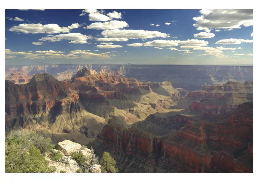 Luftaufnahme des Grand Canyon mit deutlich sichtbarer grüner Vegetation zwischen den rötlich-braunen Felsformationen
