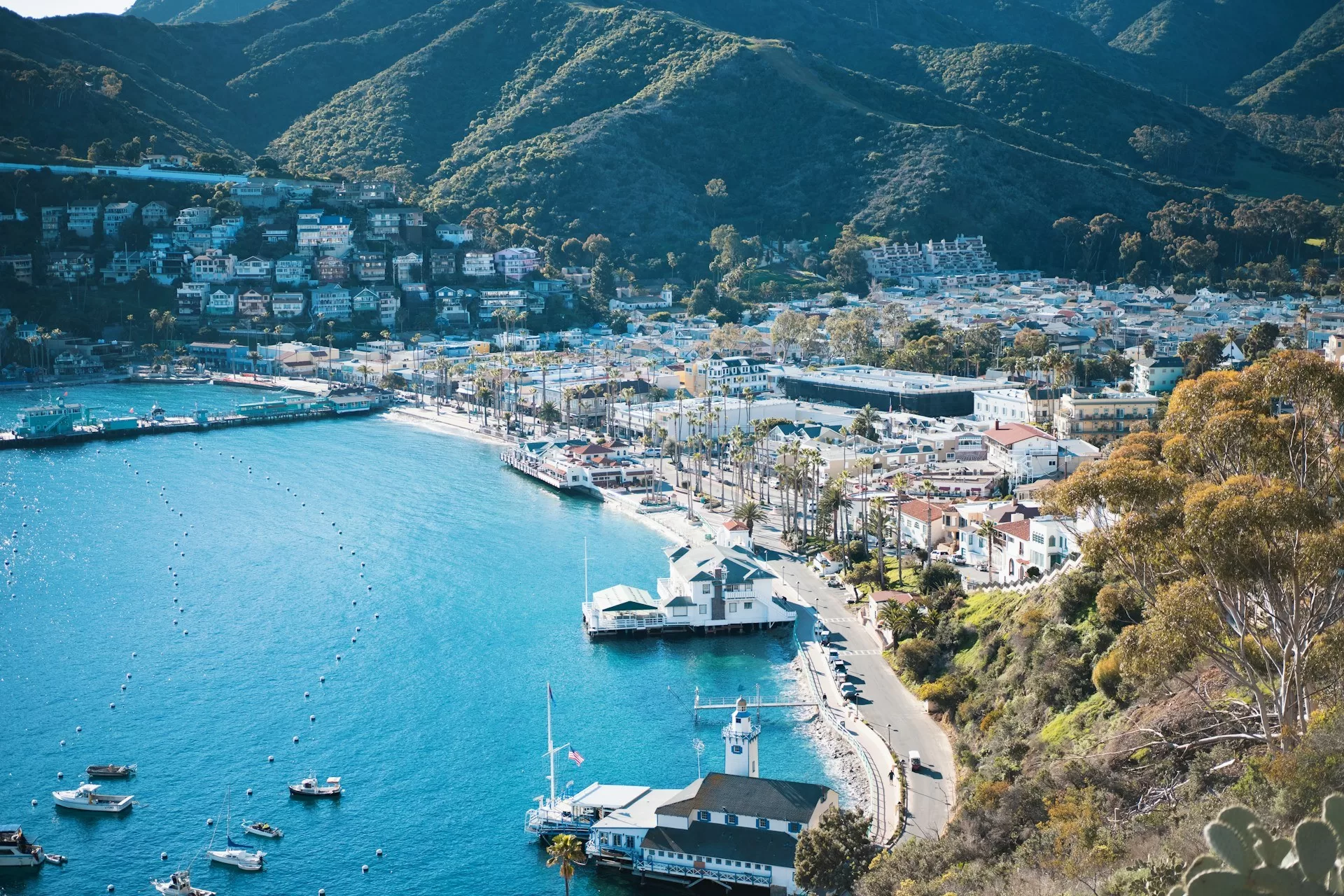 Huizen in een vallei aan het water van Santa Catalina Island in Zuid-Californië