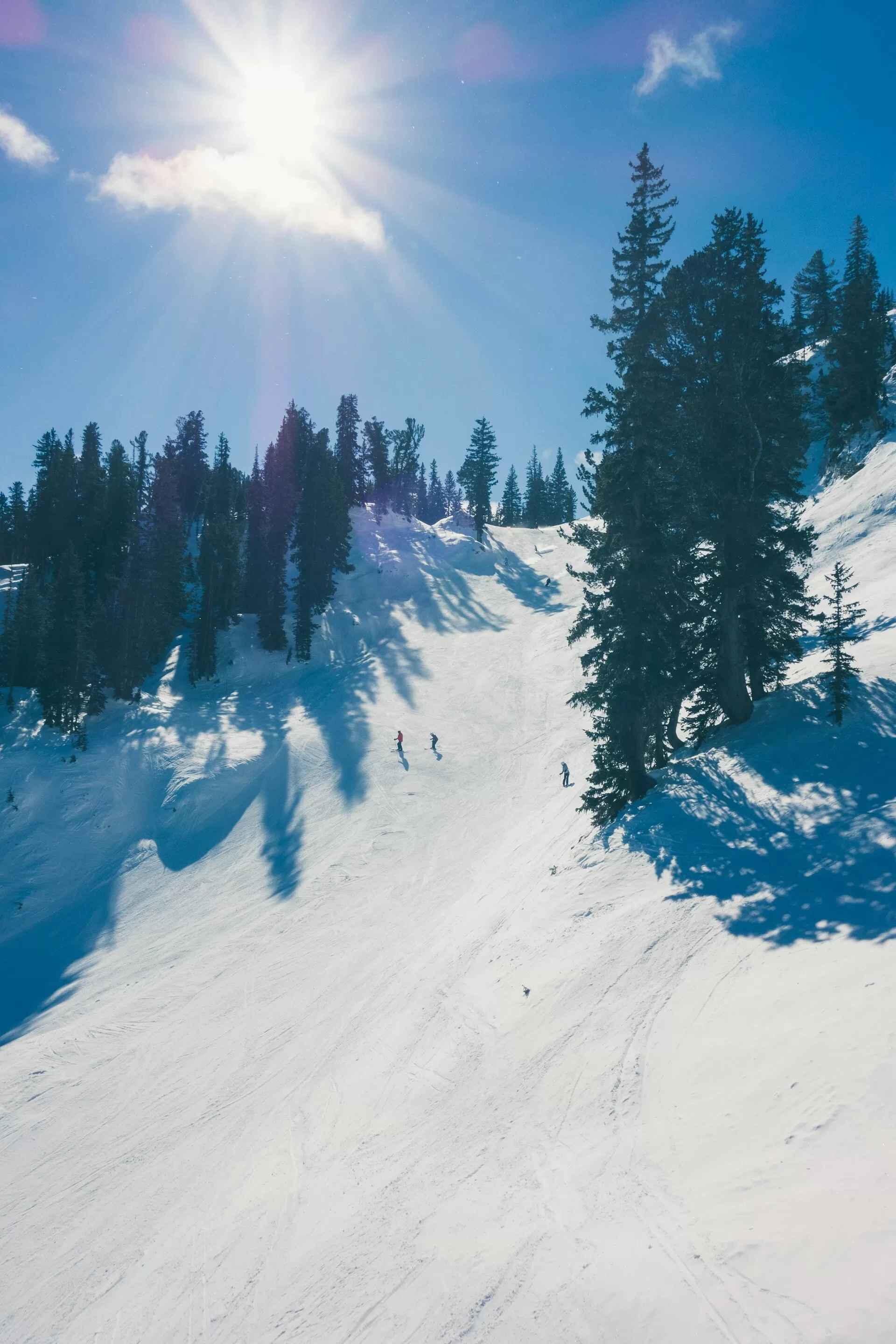 Skiërs van een piste in Snowbird, Utah