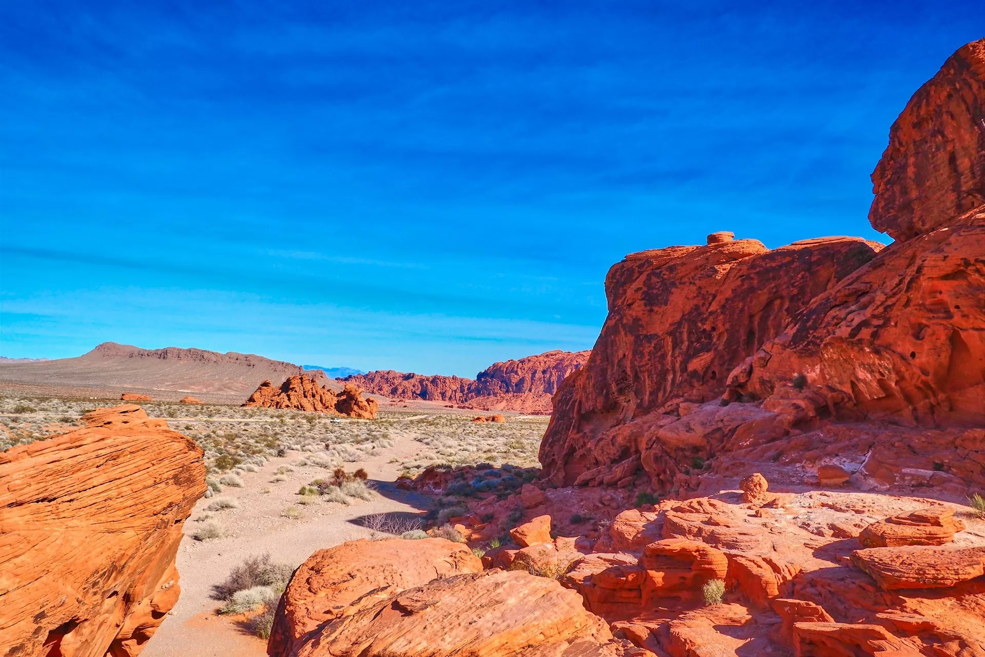 Rode rotsformaties met woestijnplanten in Valley of Fire State Park