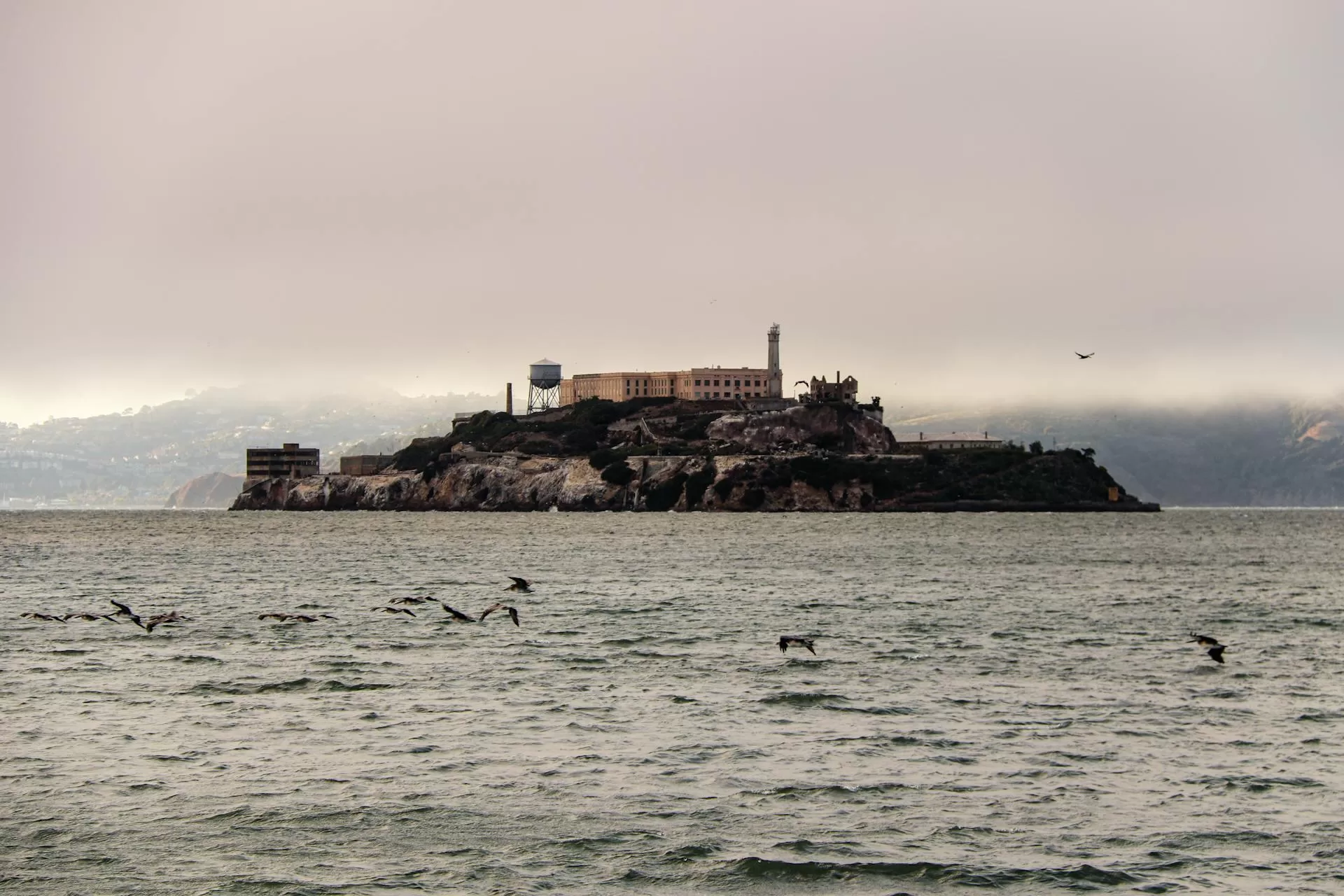 Blick auf Alcatraz Island vom Meer aus mit Vögeln im Wasser, dem berühmten Gefängnis in der Bucht von San Francisco