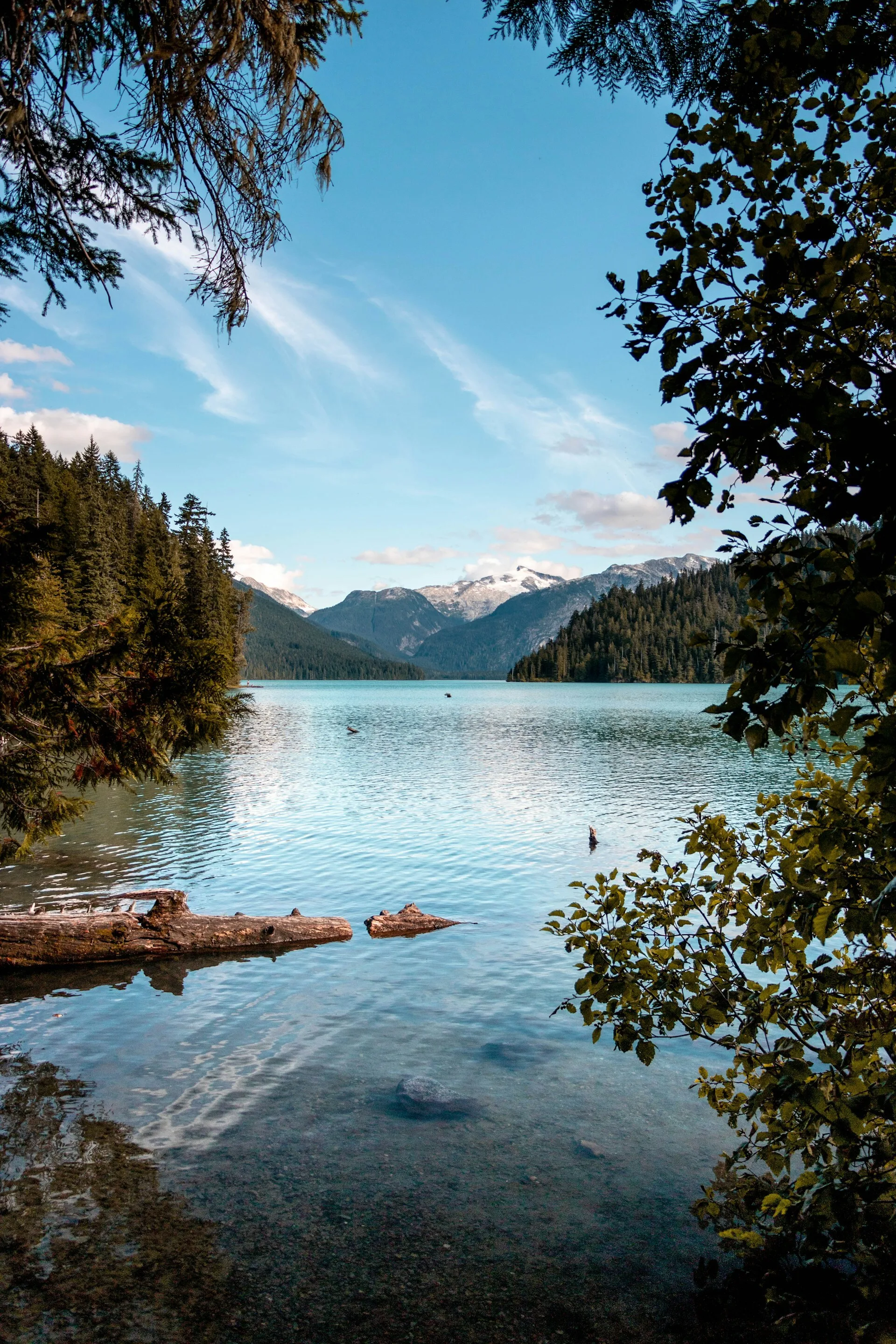 Blik vanuit het bos over het meer in Whistler, West Canada
