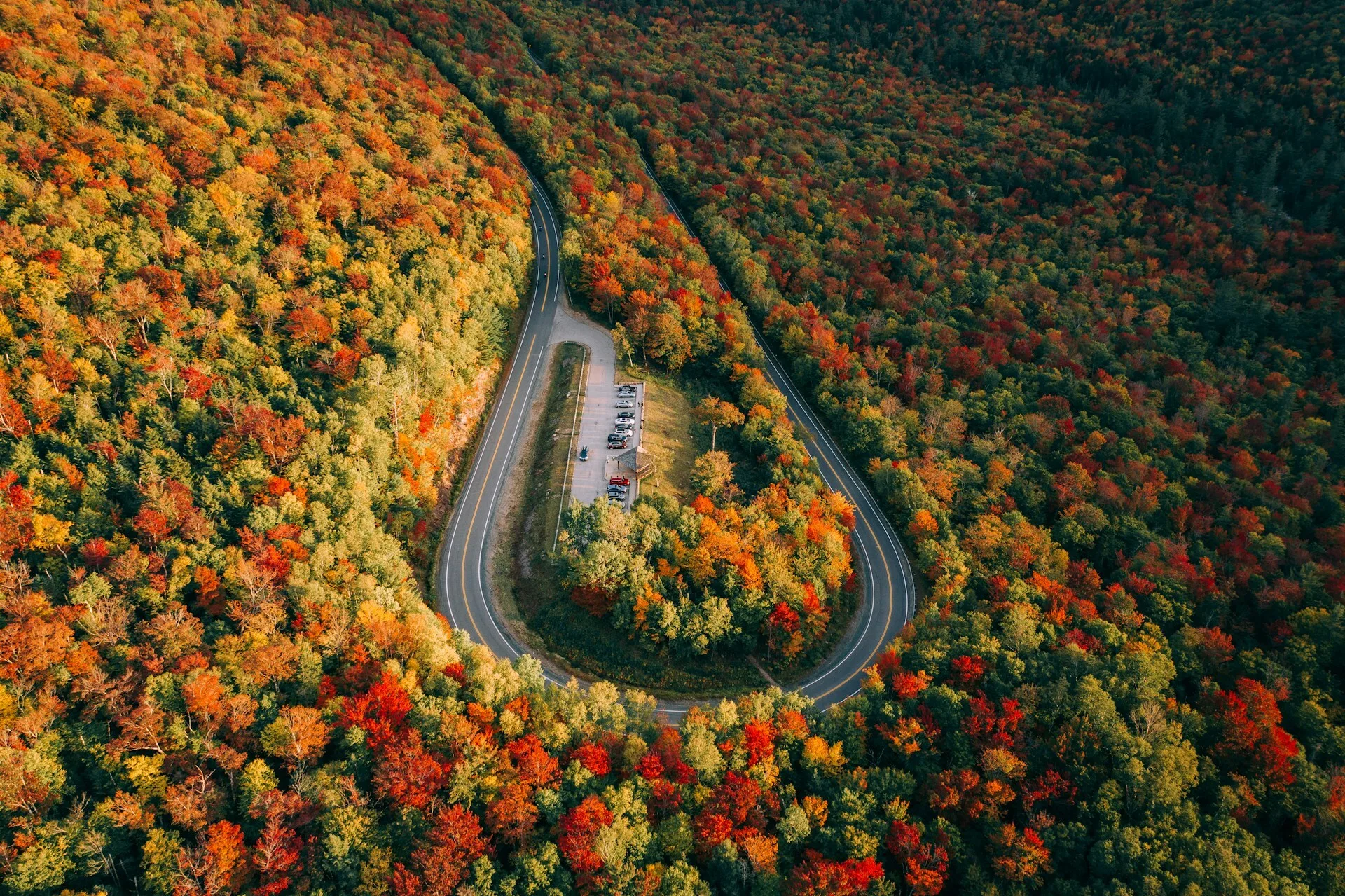 Autoweg door de bossen van New England tijdens de Indian Summer