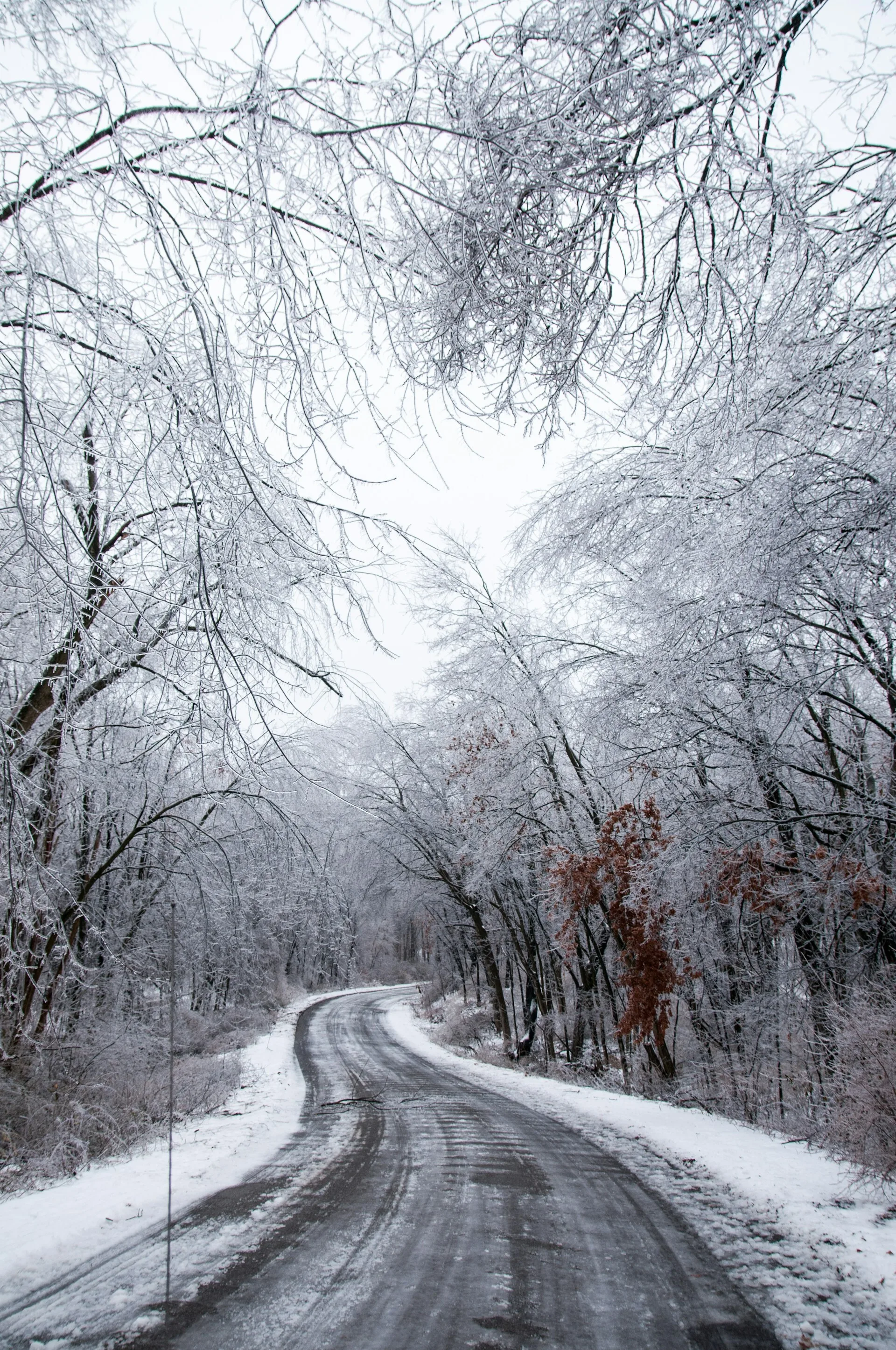 Een besneeuwde weg in Clarkston, Washington State