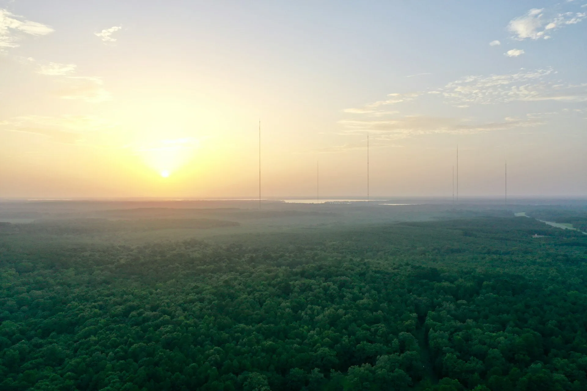 Uitzicht over een bos in Shreveport, Louisiana tijdens een zonsopkomst