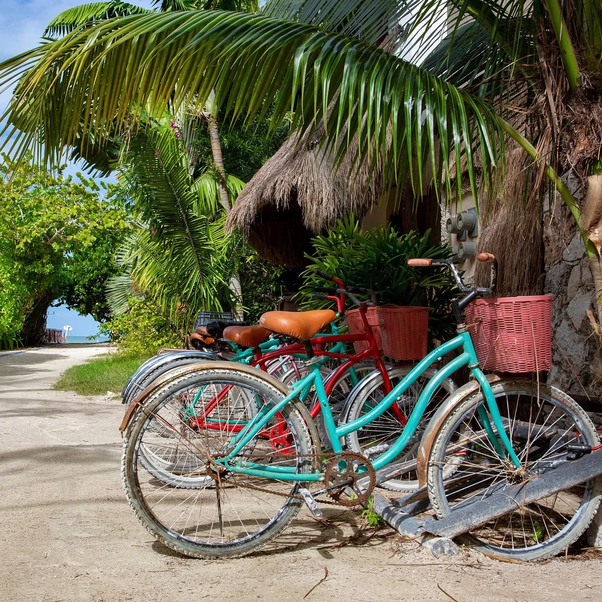 Fietsen die je kan gebruiken bij een overnachting in het Hotel Dream Beach Front Holbox