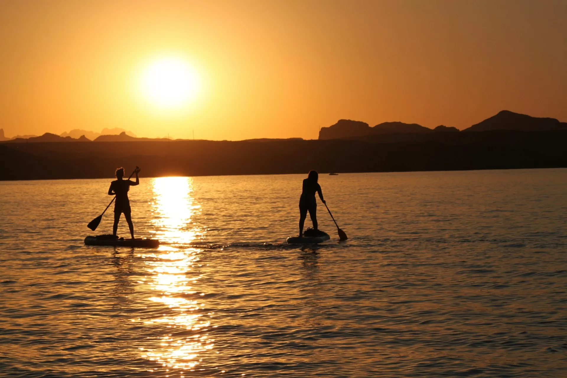 Mensen suppen op een meer in Lake Havasu City tijdens zonsondergang