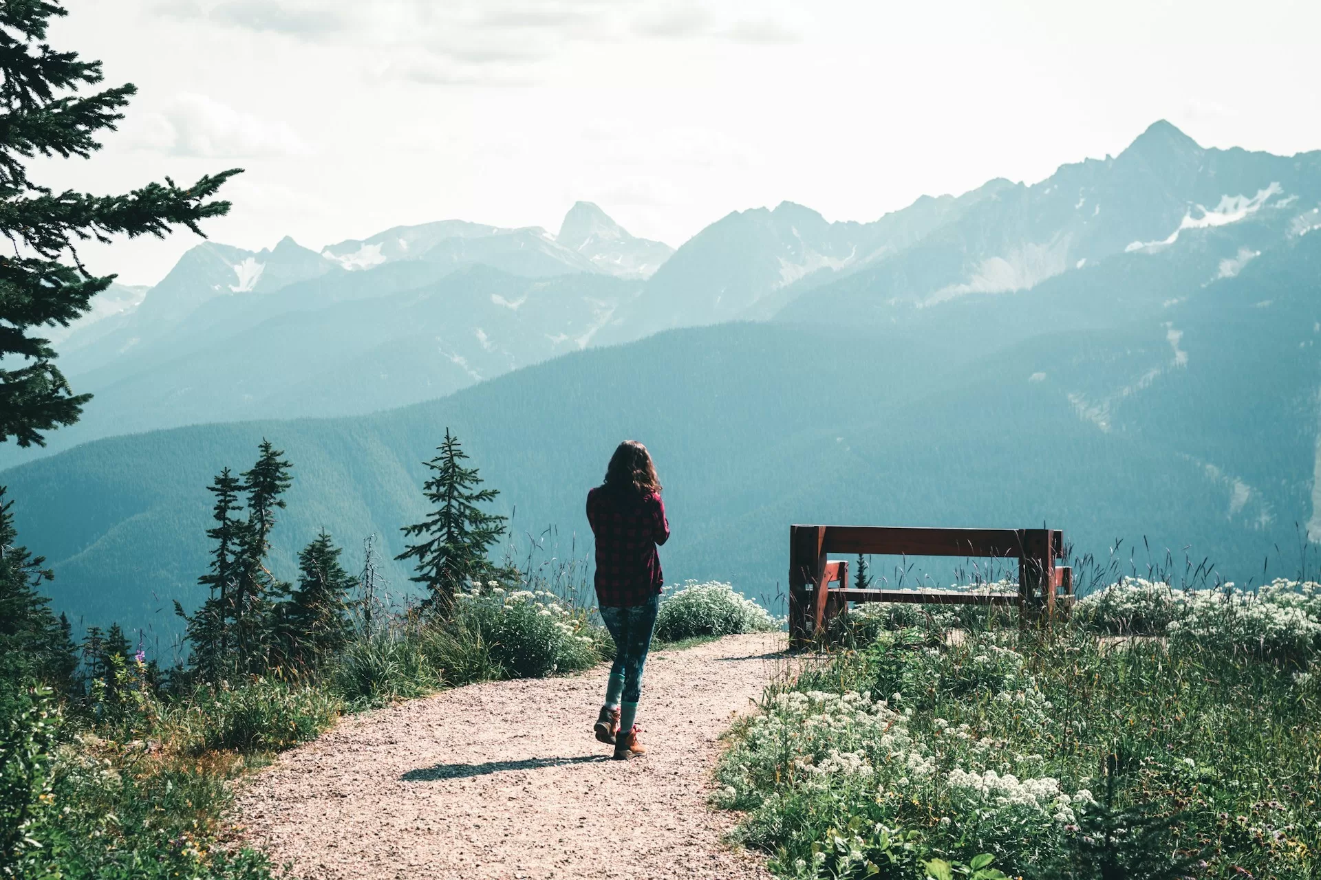 Wandeling naar bankje op uitzichtpunt Mount Revelstoke