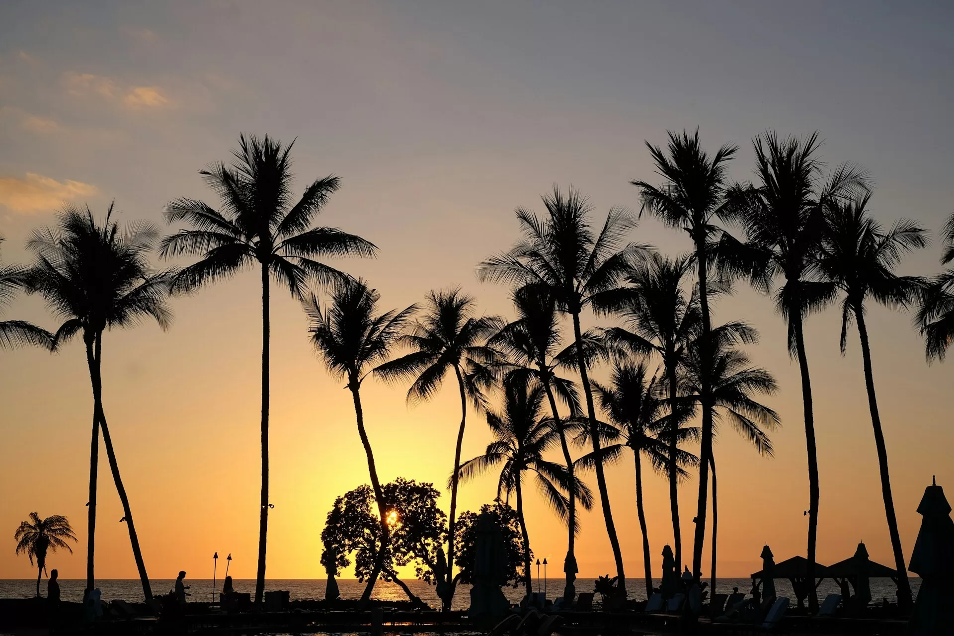 Palmen in der Silhouette des Sonnenuntergangs, tropischer Strand und farbenfroher Himmel.
