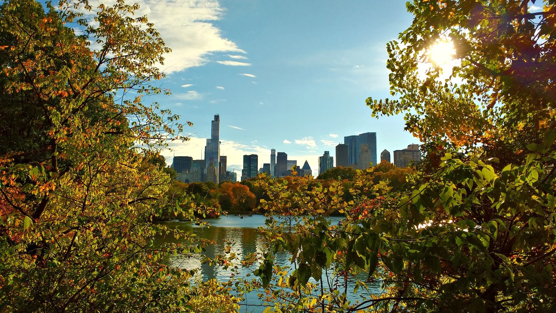 Uitzicht over de wolkenkrabbers van New York City vanuit een park