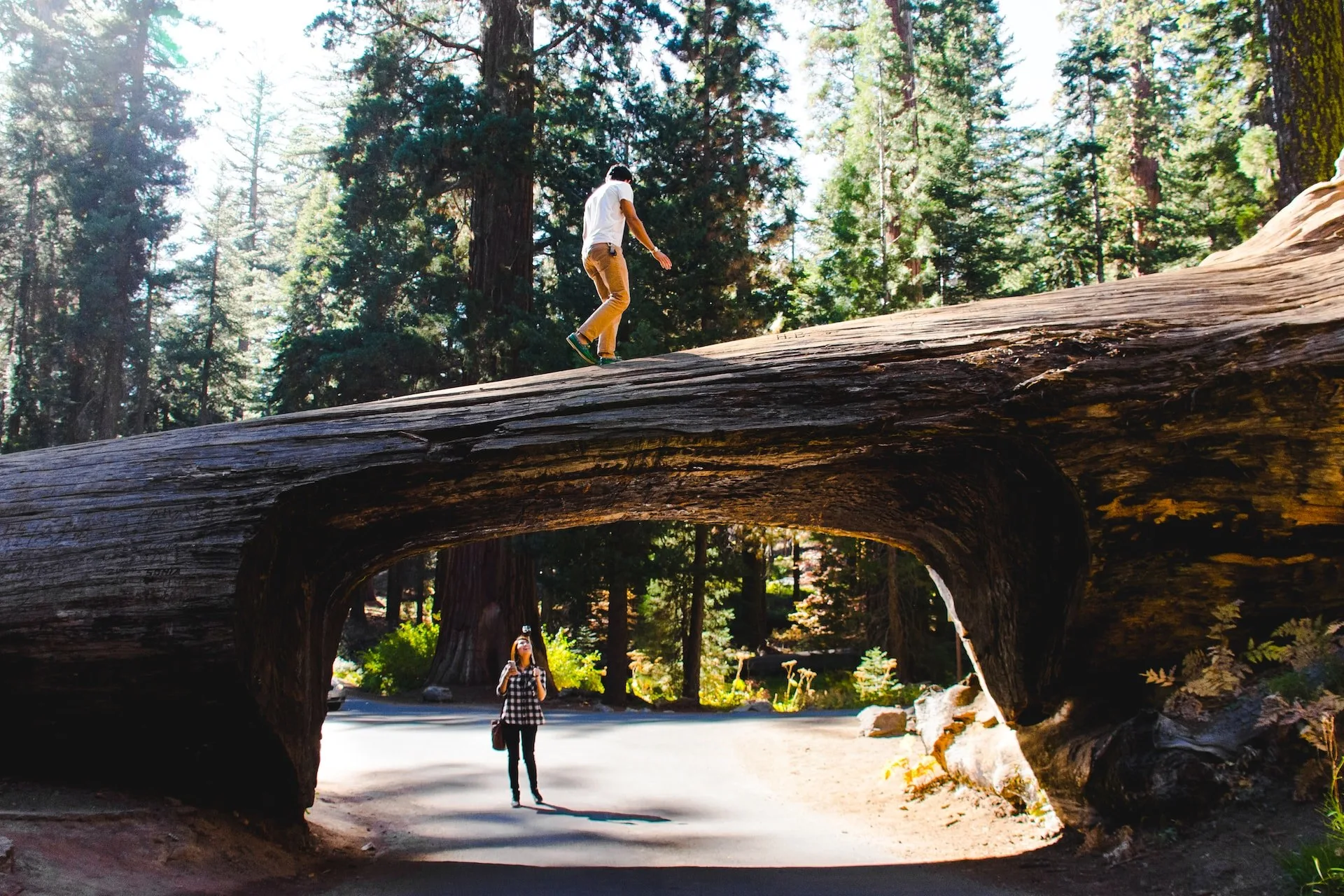 Lopen over een liggende boom die als poort dient in Sequoia
