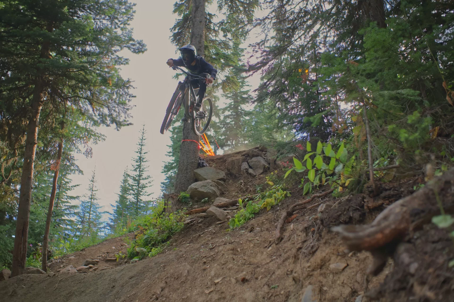 Een BMX-er die tussen de bomen door fietst in Canada
