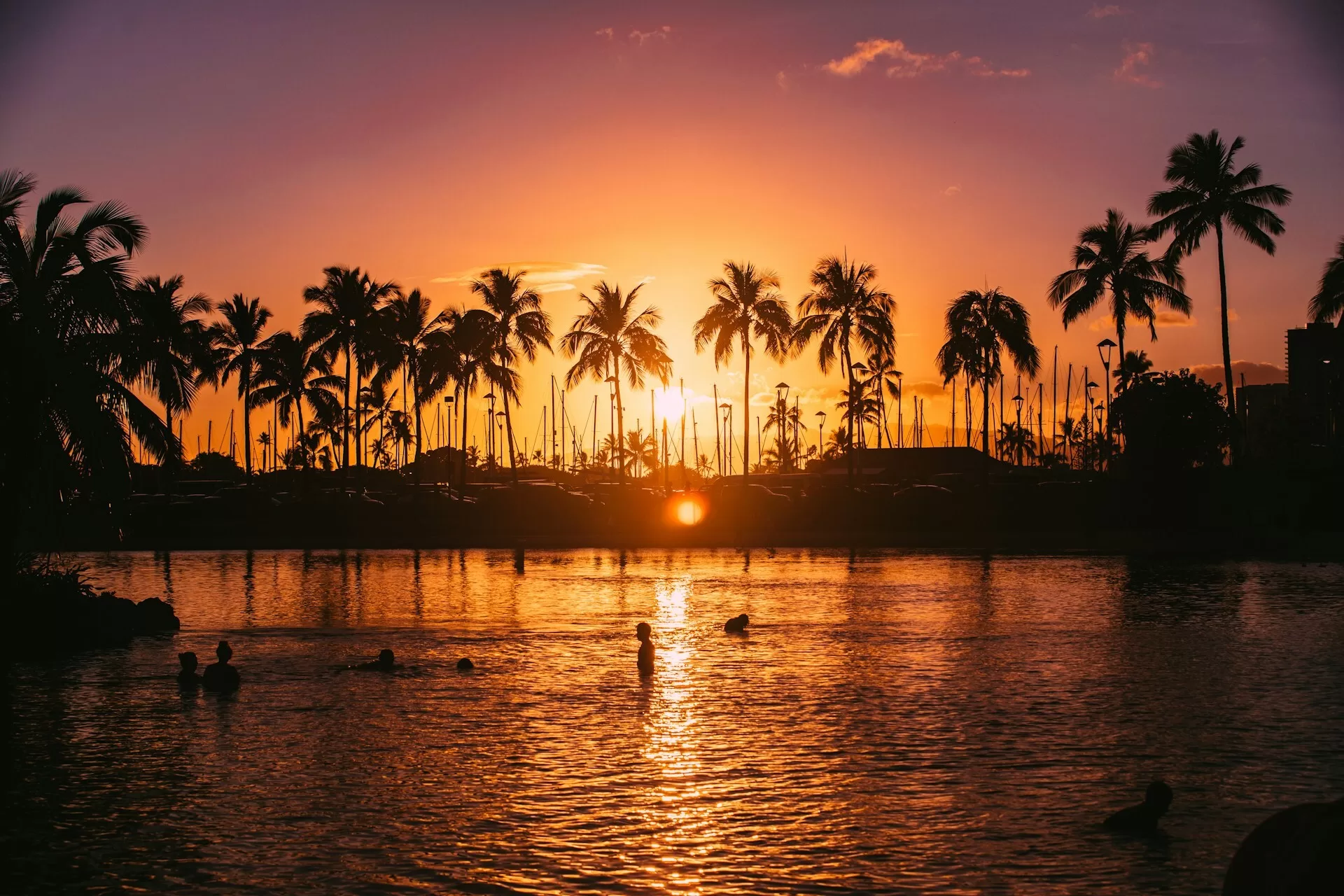 Zonsondergang Oahu met palmen en water op de voorgrond