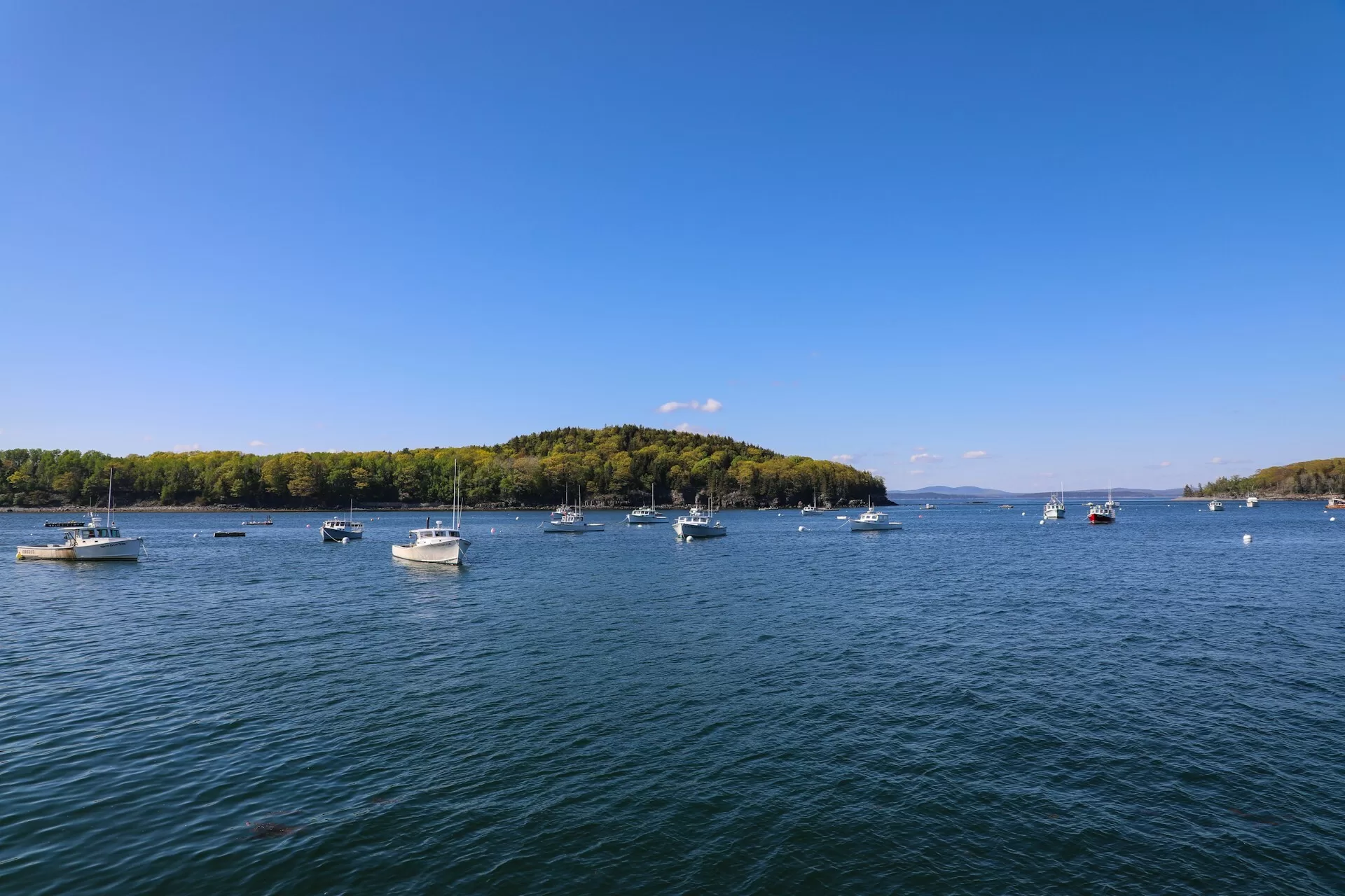 Zeilboten in de haven van Bar Harbor in Maine