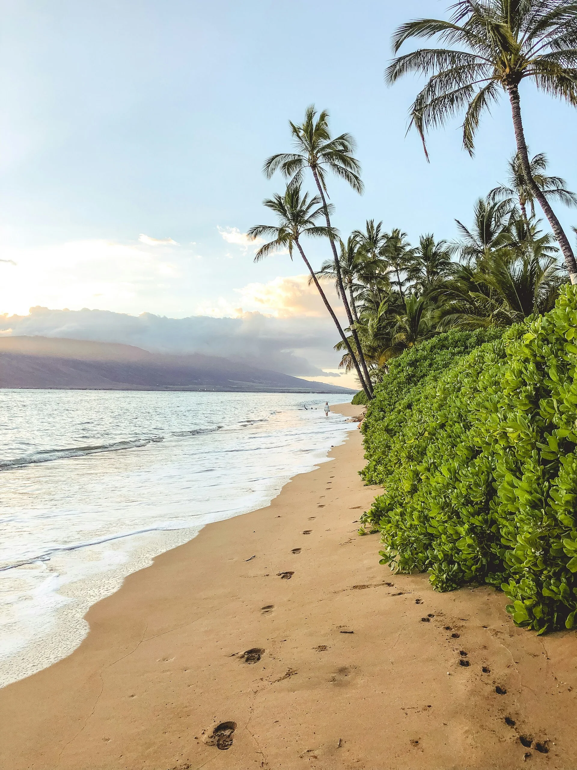 Een strand met struiken en palmbomen in Ka'anapali, Maui