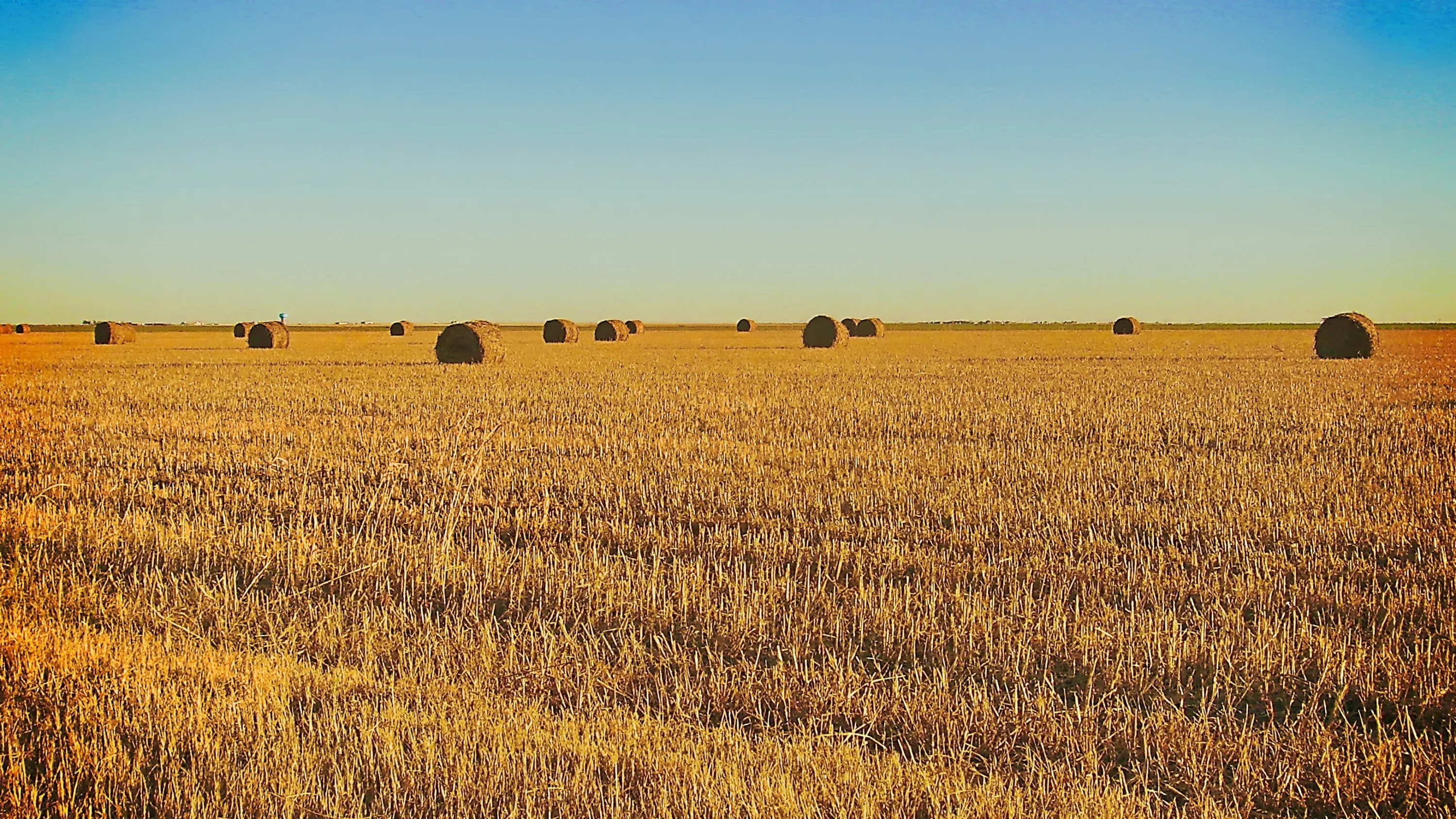 Een maaiveld in Lubbock, Texas