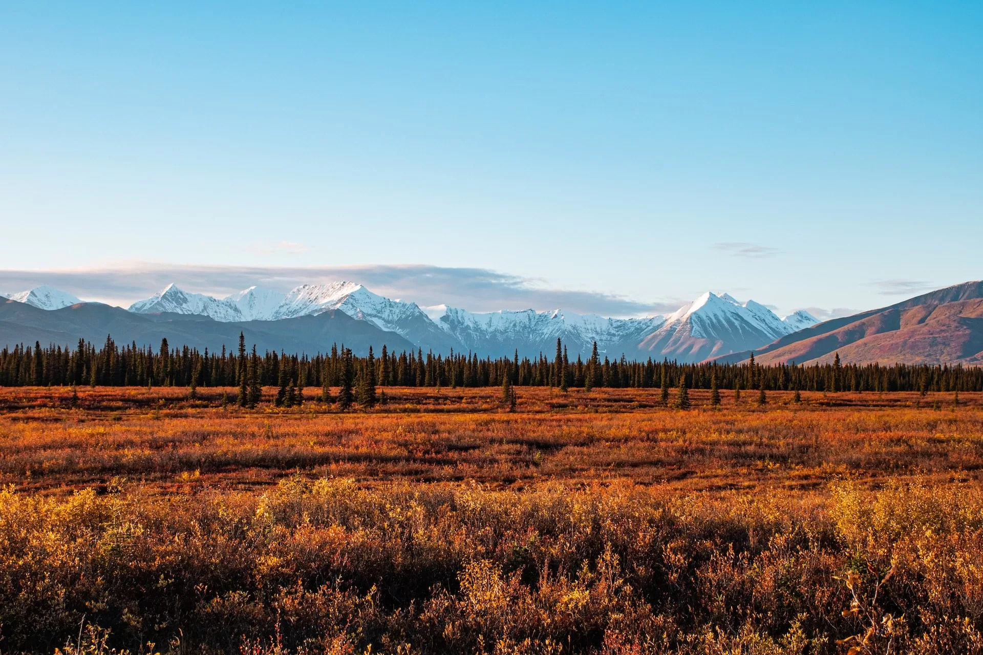 Denali National Park in Alaska