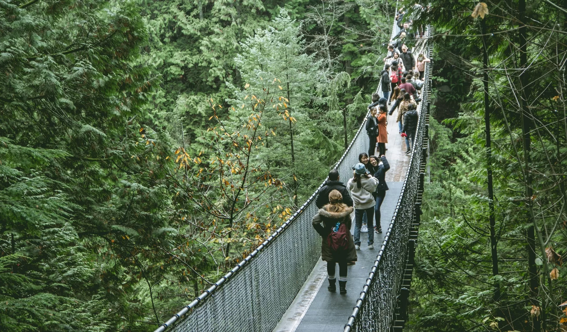 Spaziergänger auf der Capilano-Hängebrücke im Capilano Suspension Bridge Park, Vancouver