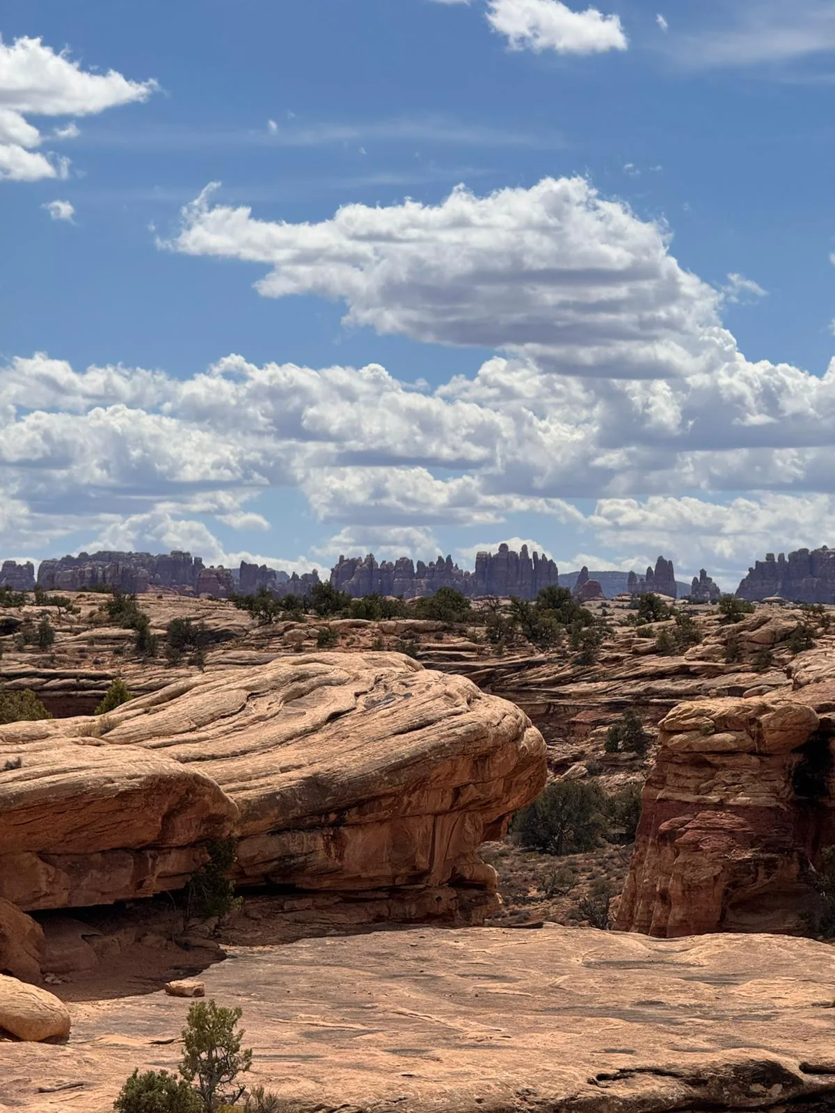 Uitzicht over Canyonlands National Park
