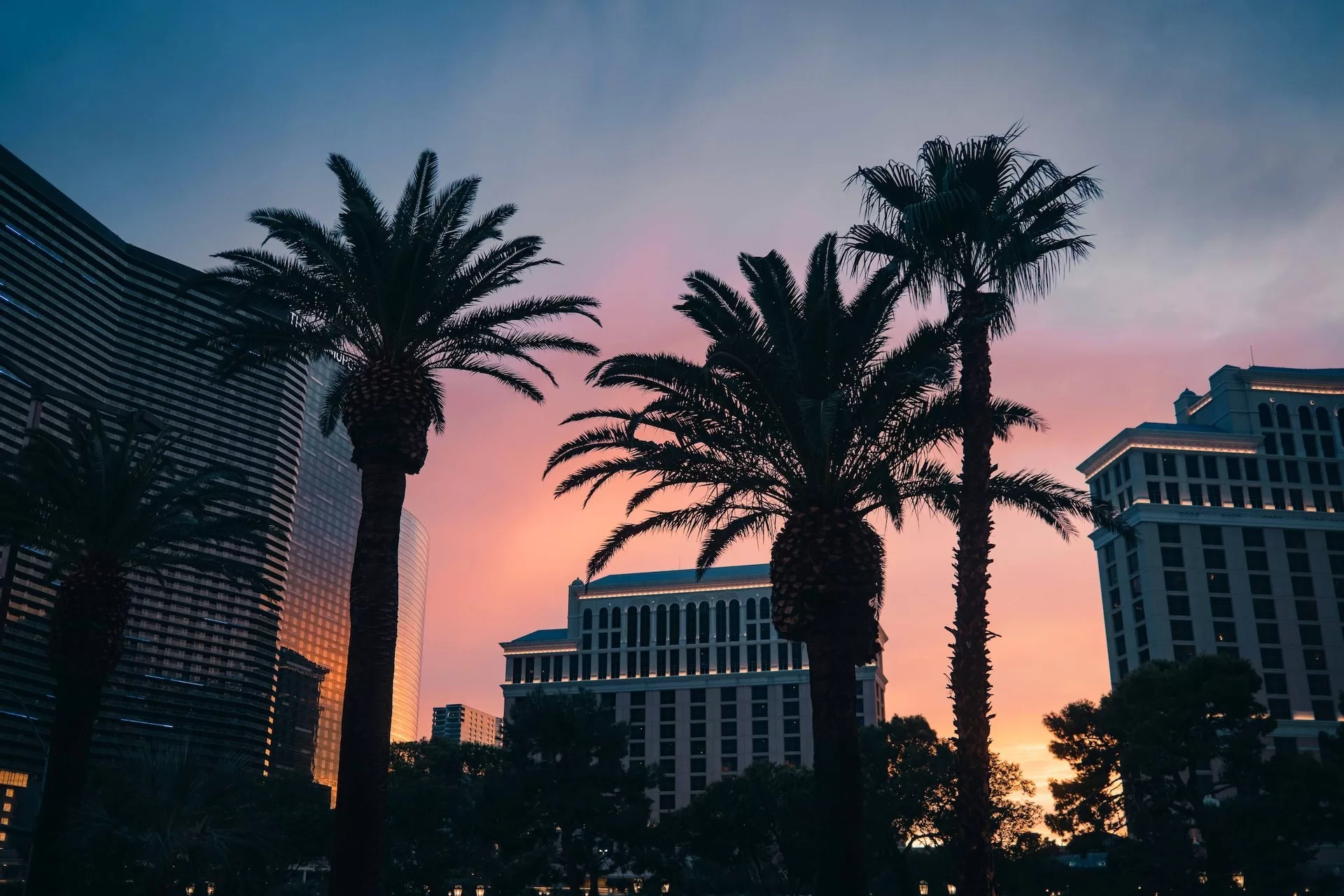 Ceasars palace en palmen bij zonsondergang in Las Vegas.