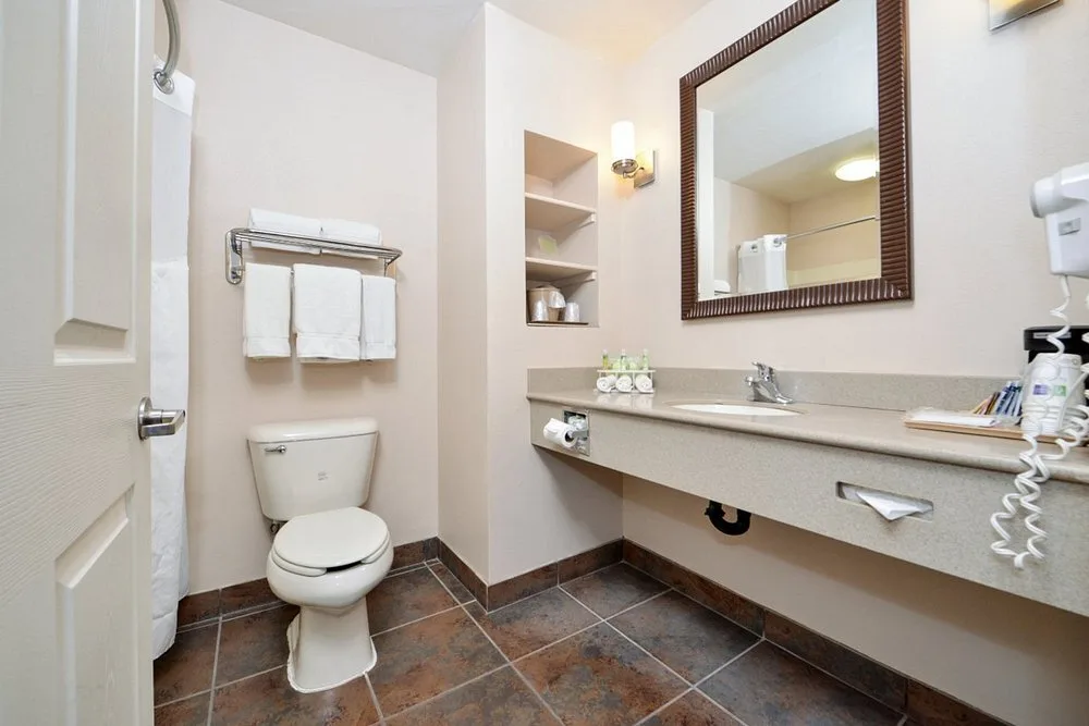 badkamer met wastafel en wc