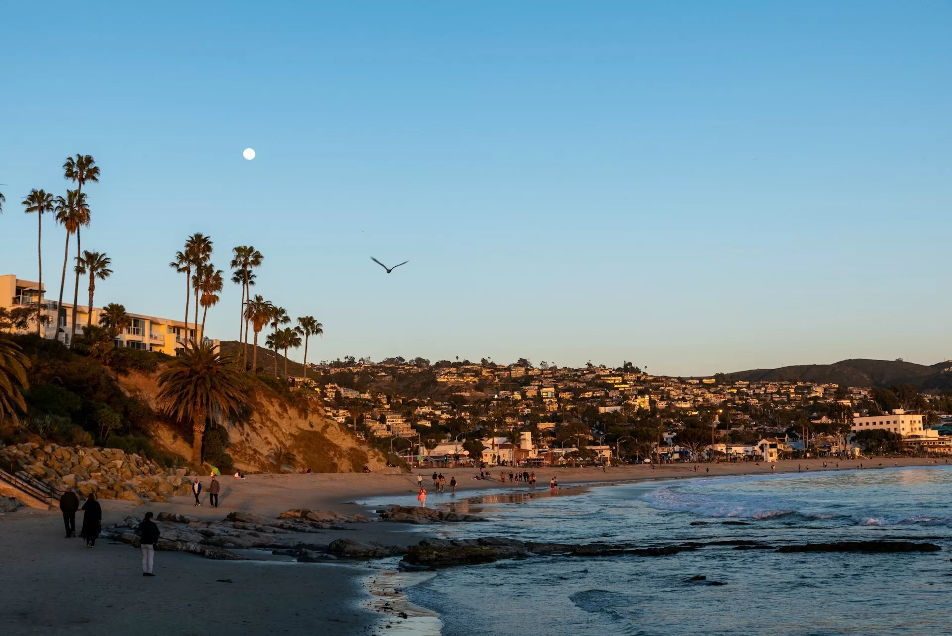 Uitzicht over de huizen aan het strand van Laguna Beach
