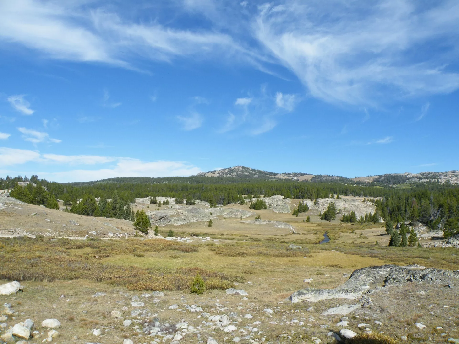 Big Horn National Forest in Buffalo, Wyoming
