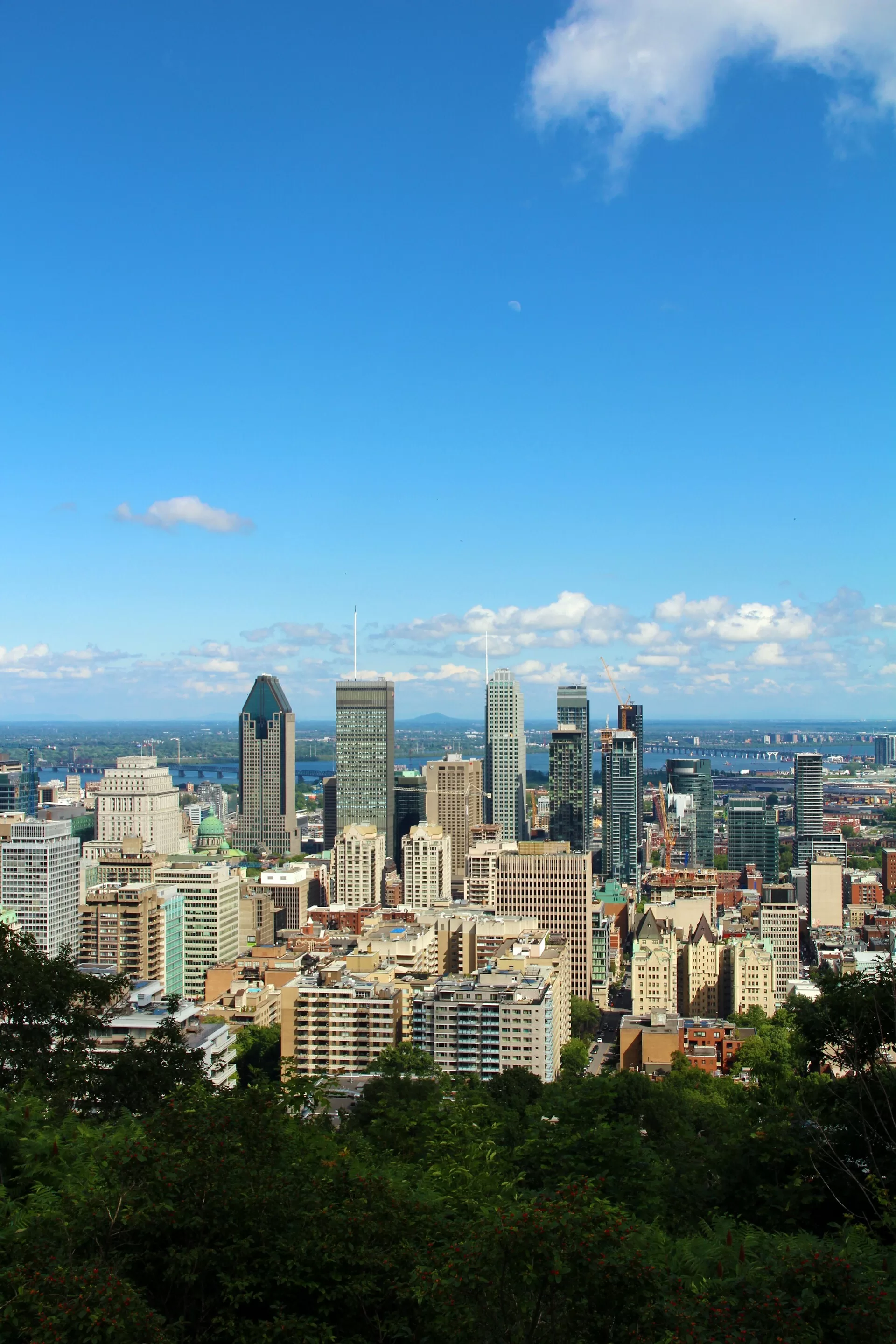 Uitzicht over de hoge gebouwen in Montreal vanaf de Mont Royal berg