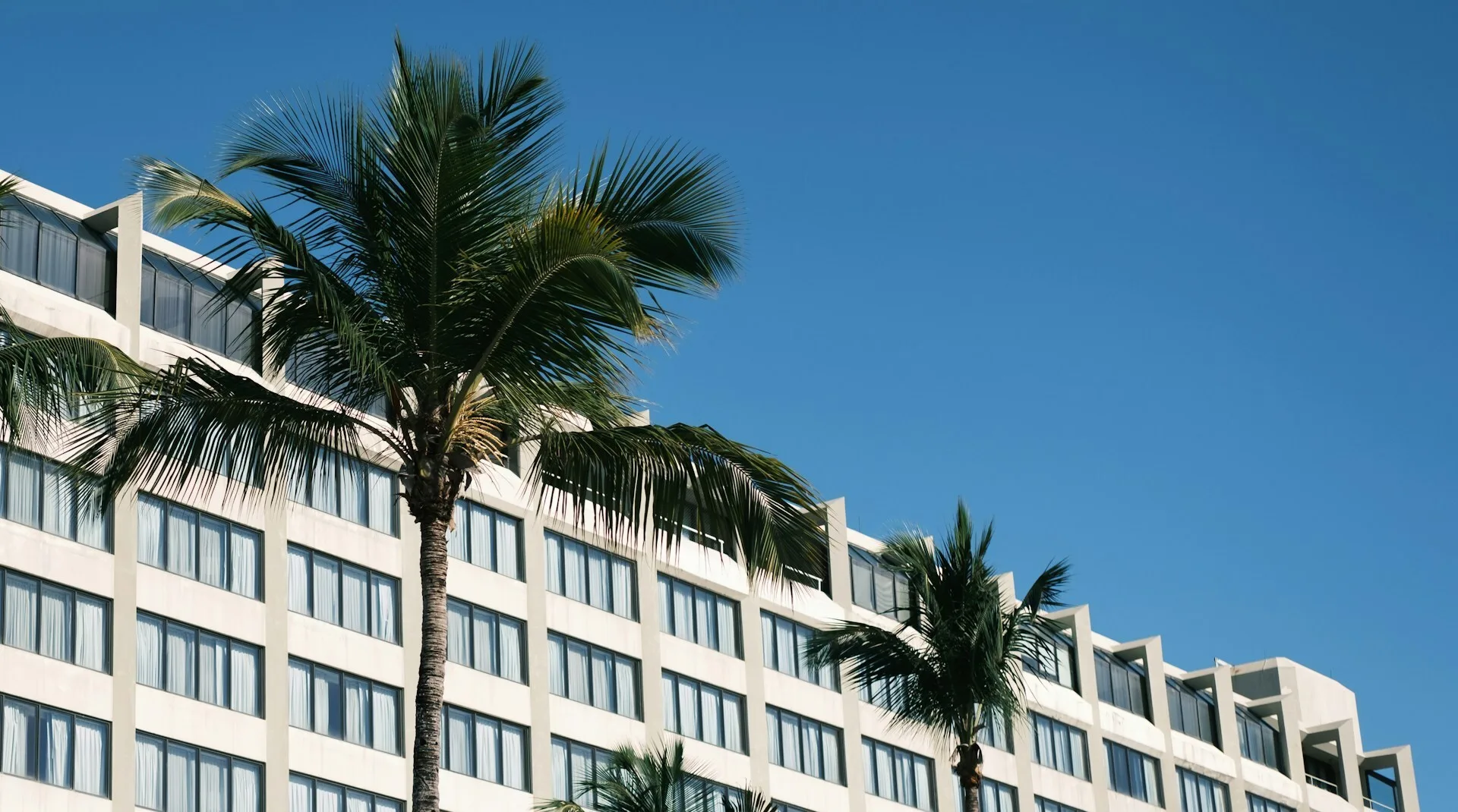 Hotel met palmbomen in Miami.
