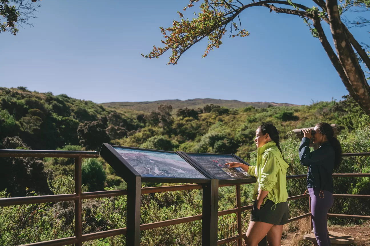 Een uitkijkpunt tijdens de Hosmer Grove Trail op Maui