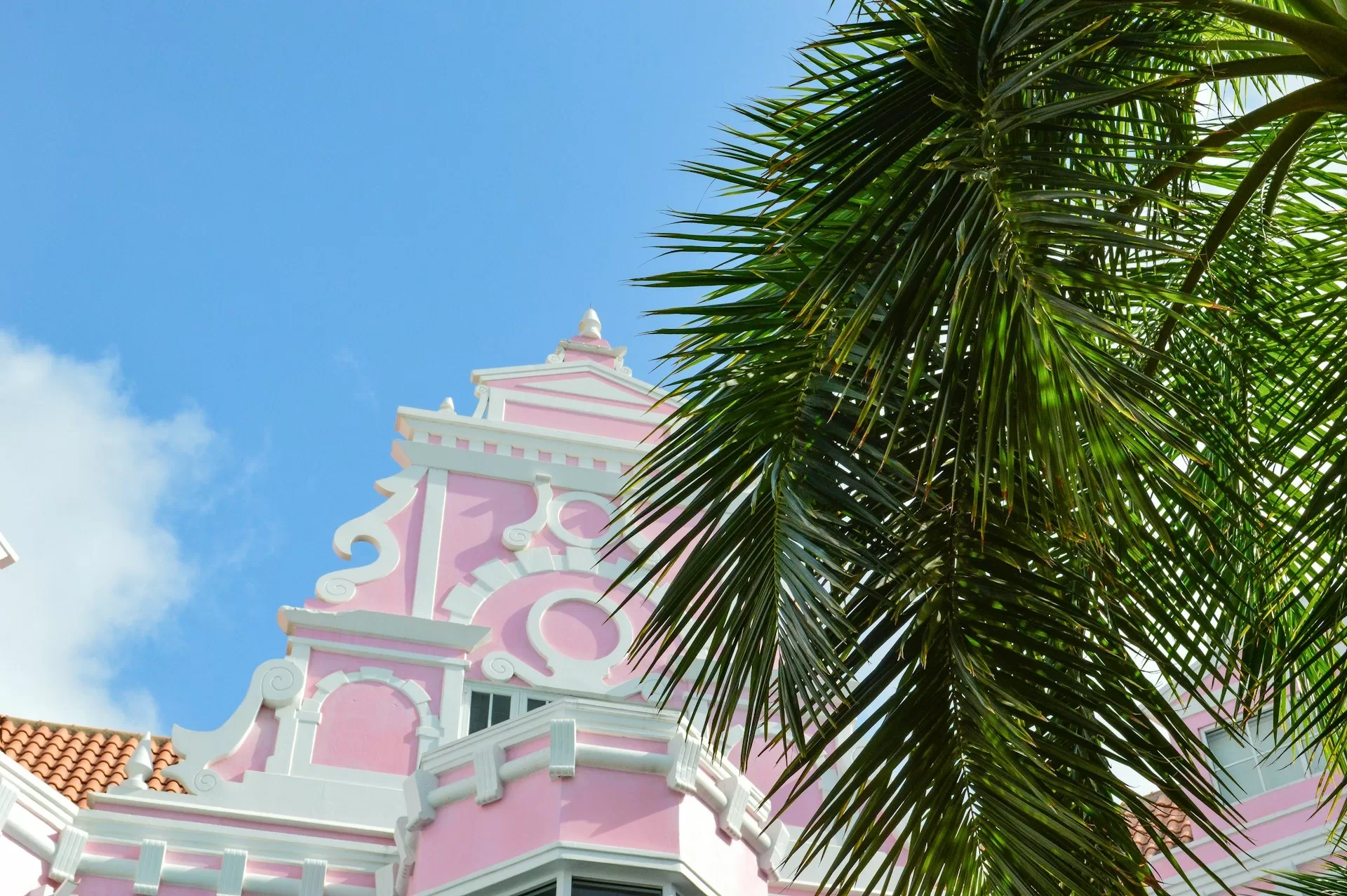 Roze gevel met daarvoor een palmboom in Oranjestad op Aruba.