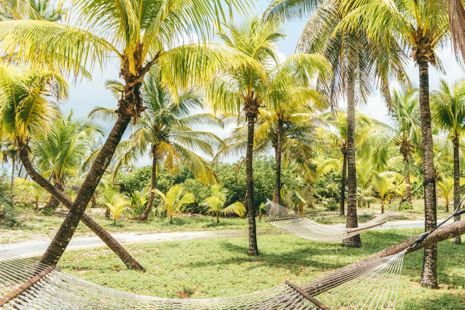Hangmatten tussen palmbomen op de Bahama's in de Caribbean
