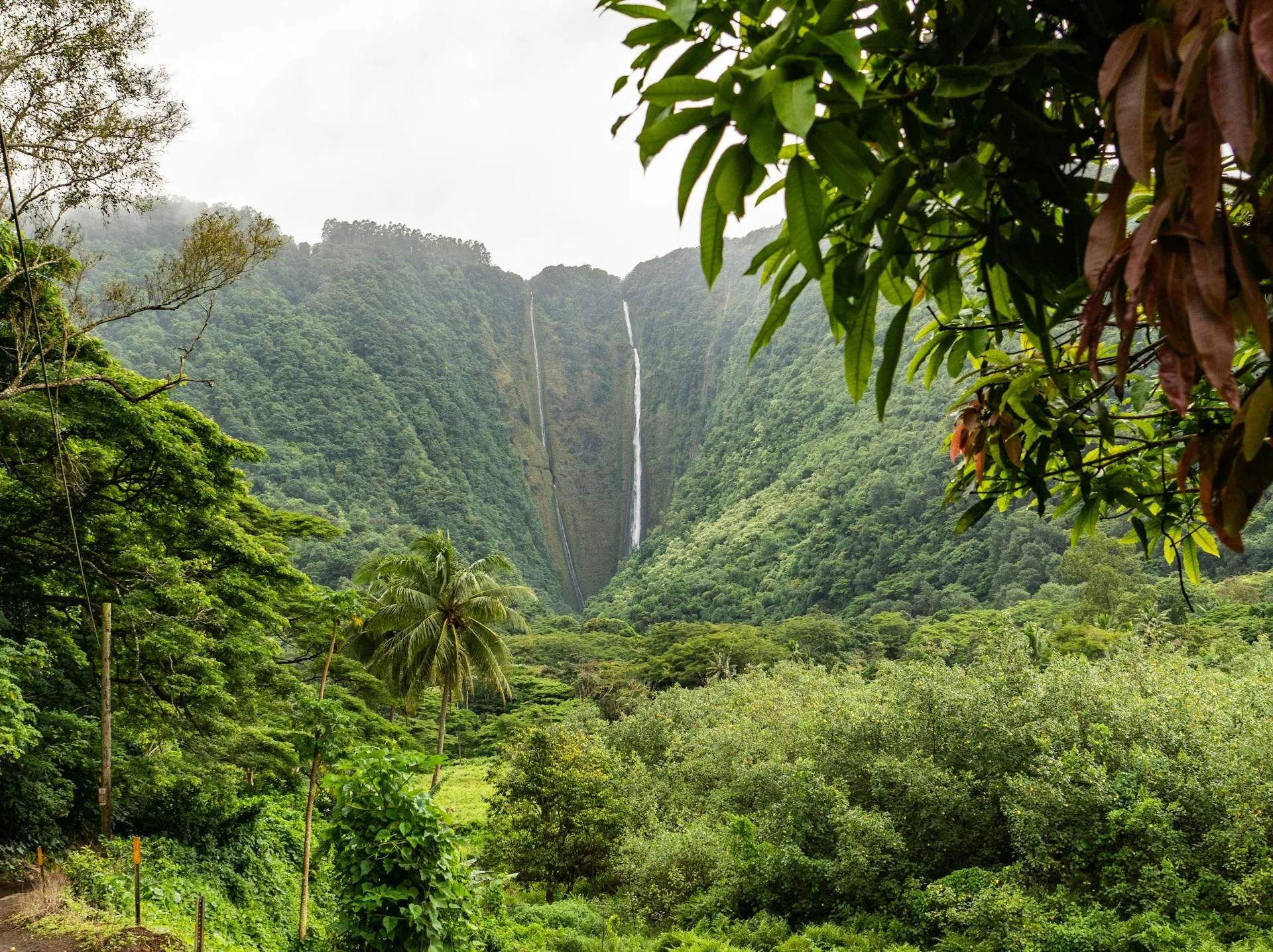 Der meterhohe Wasserfall im Waipio Valley auf Big Island Hawaii