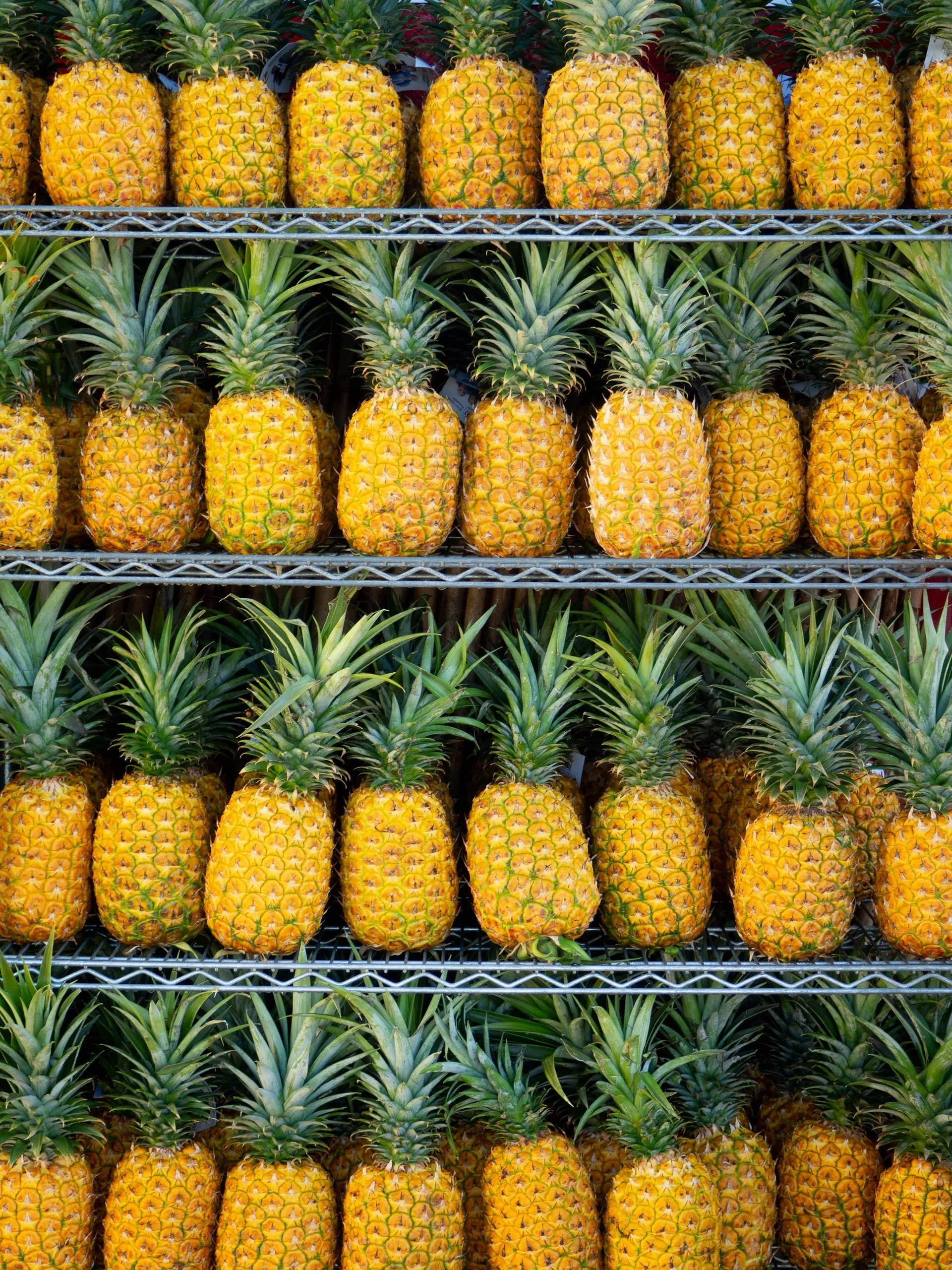 Ananas während der Dole Plantation Tour Oahu Hawaii