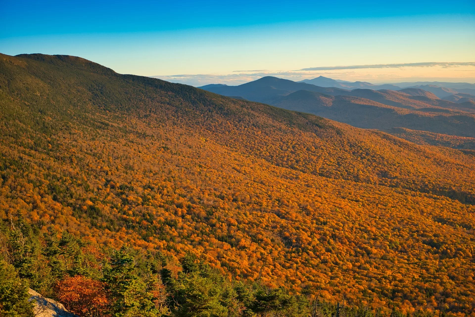 Het goudkleurige boslandschap van Vermont tijdens de Indian Summer