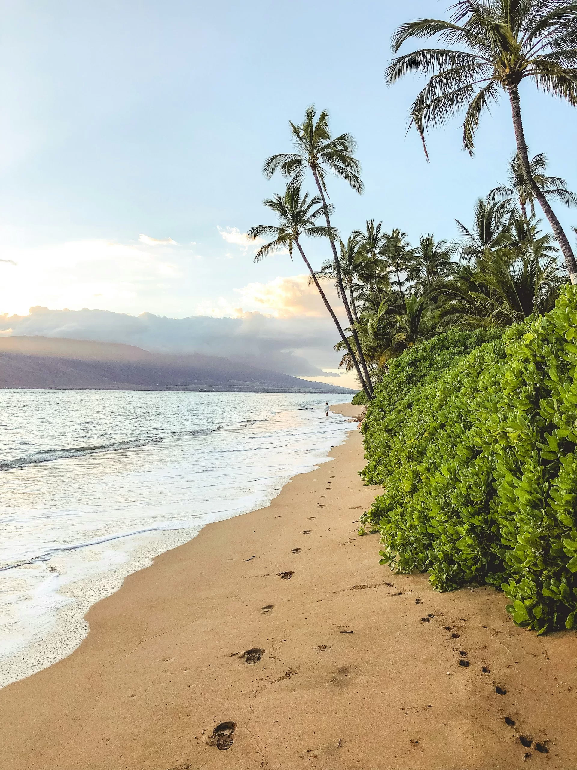 Schmaler Sandstrand mit Palmen auf Maui Hawaii