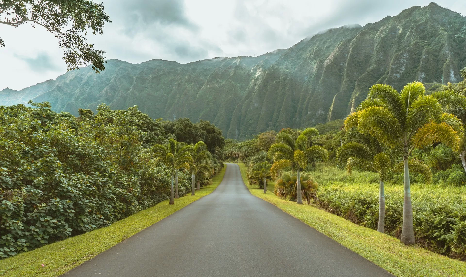 Straße durch die Hoomaluhia Botanical Gardens auf Oahu Hawaii