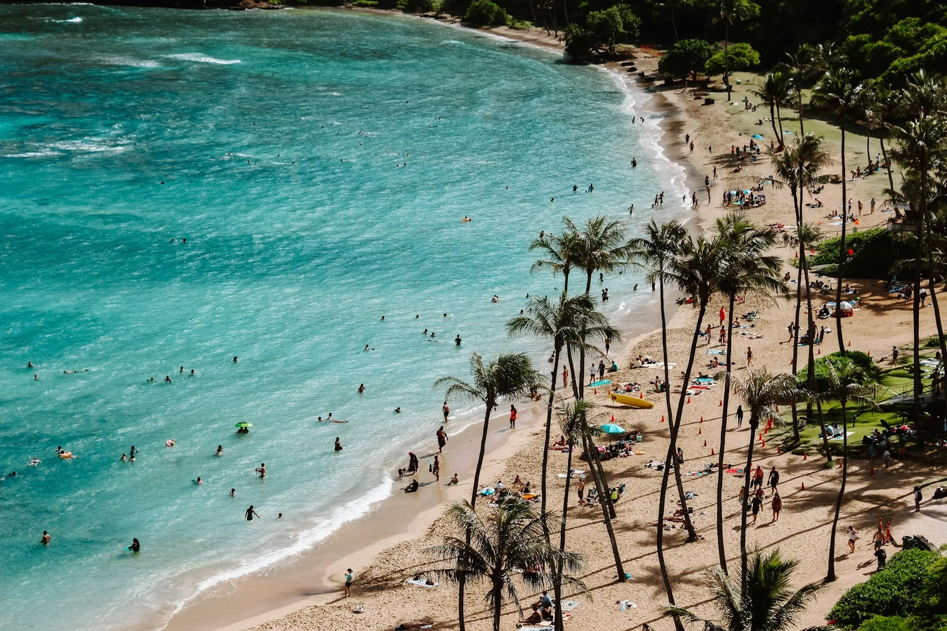 Het Palmenstrand van Hanauma Bay Oahu Hawaii