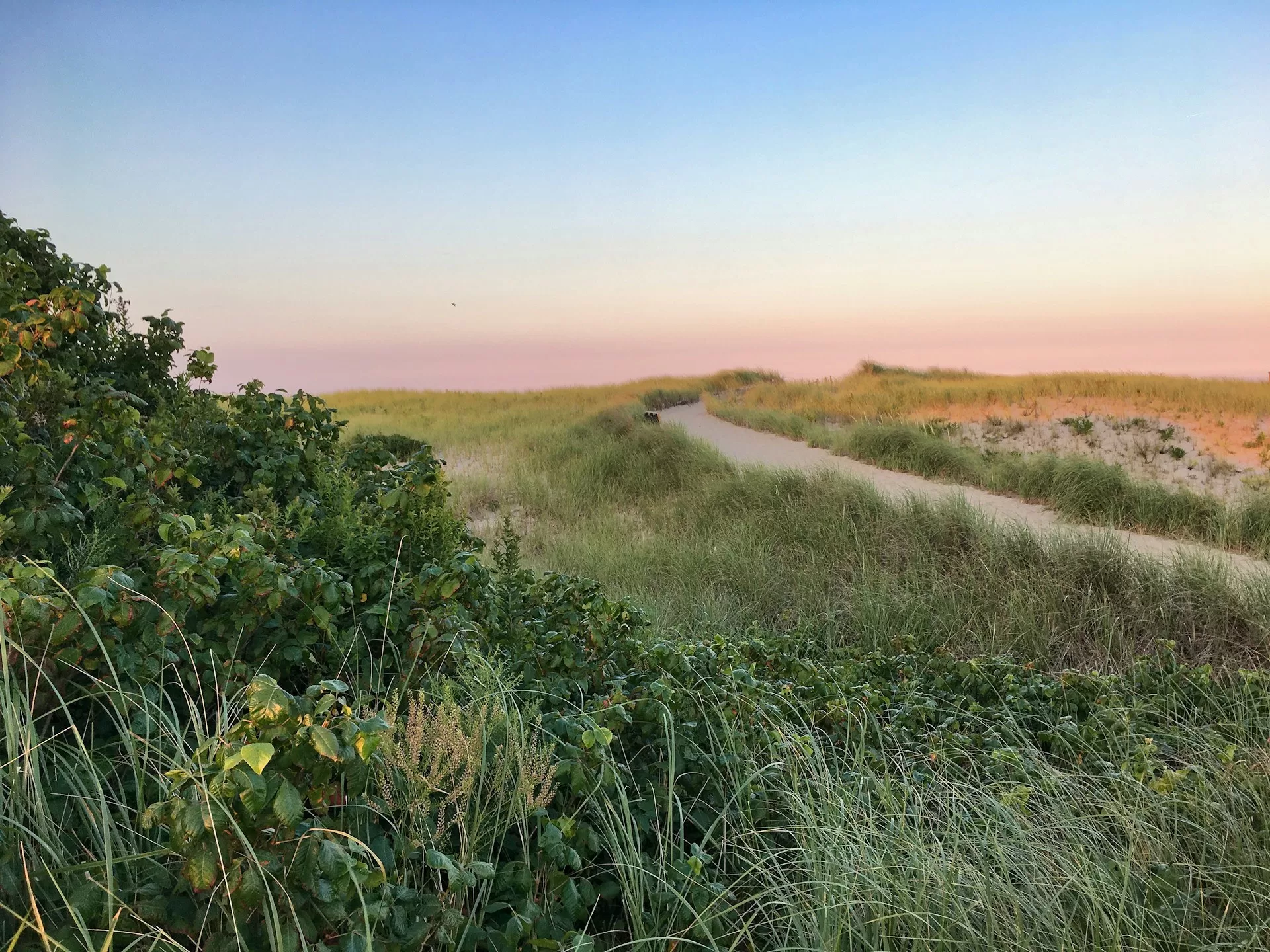 Een weg in de duinen van Cape Cod, Massachusetts