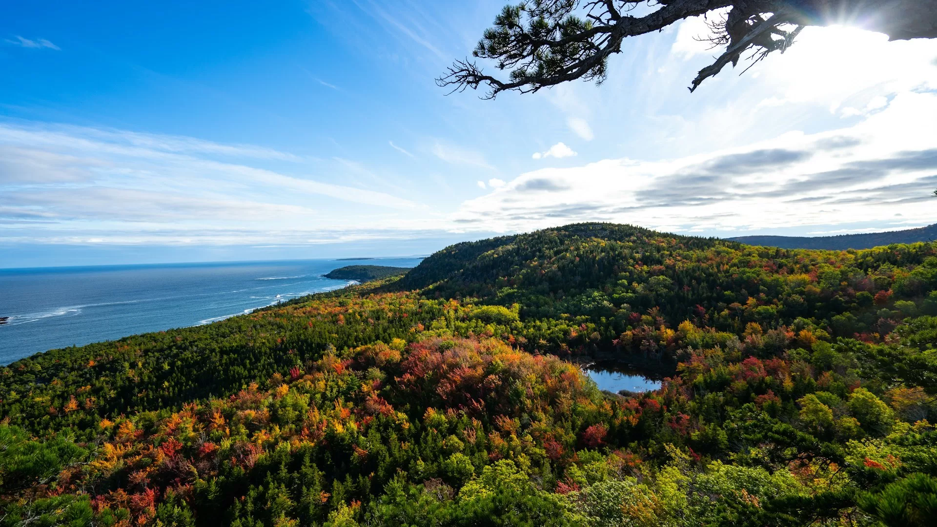 Blik over Acadia National Park en op de kust van Bar Harbor aan de noordoostkust van de USA