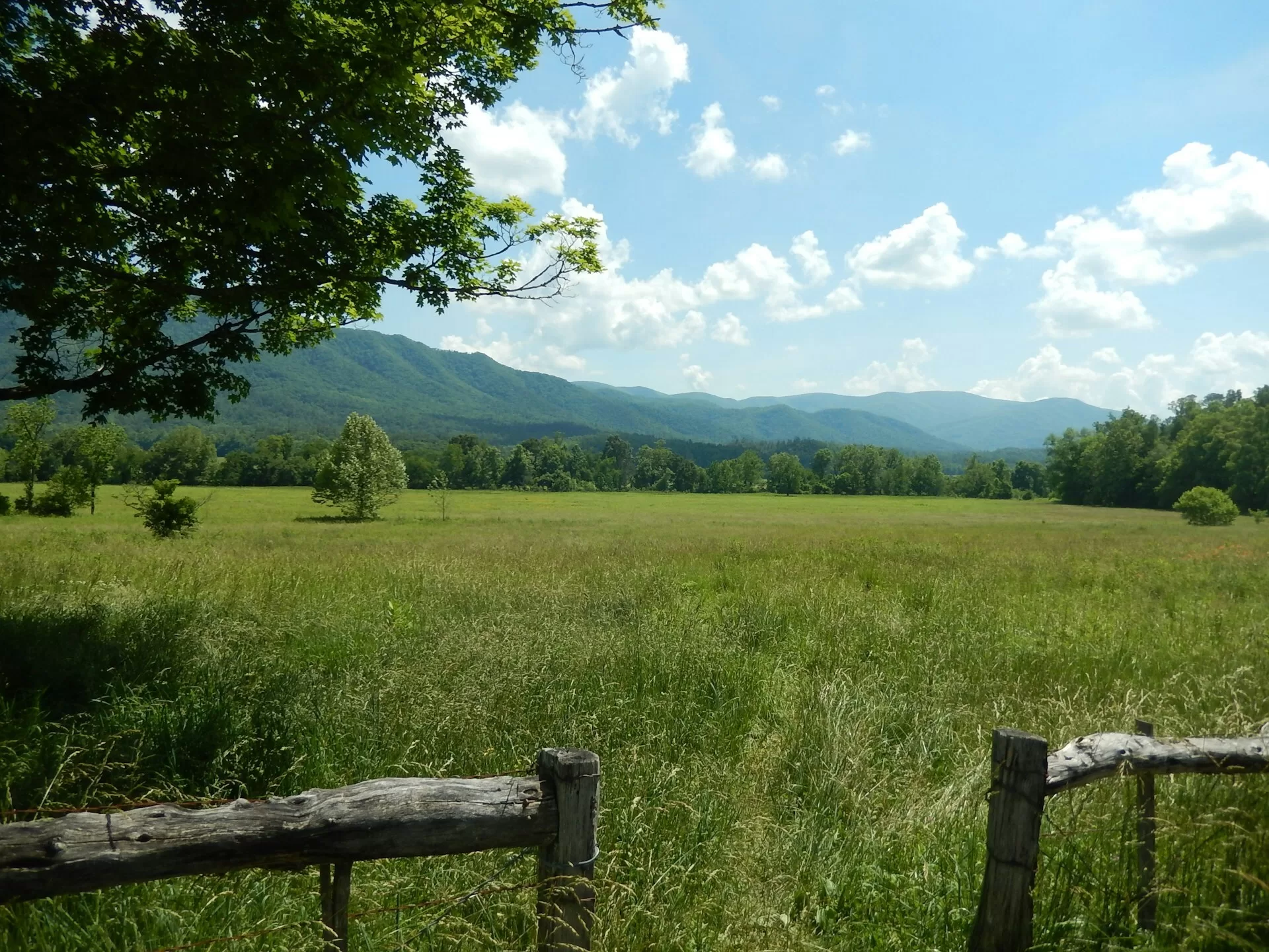 Uitzicht vanaf wandelgebied Cades Coves op de Great Smokey Mountains