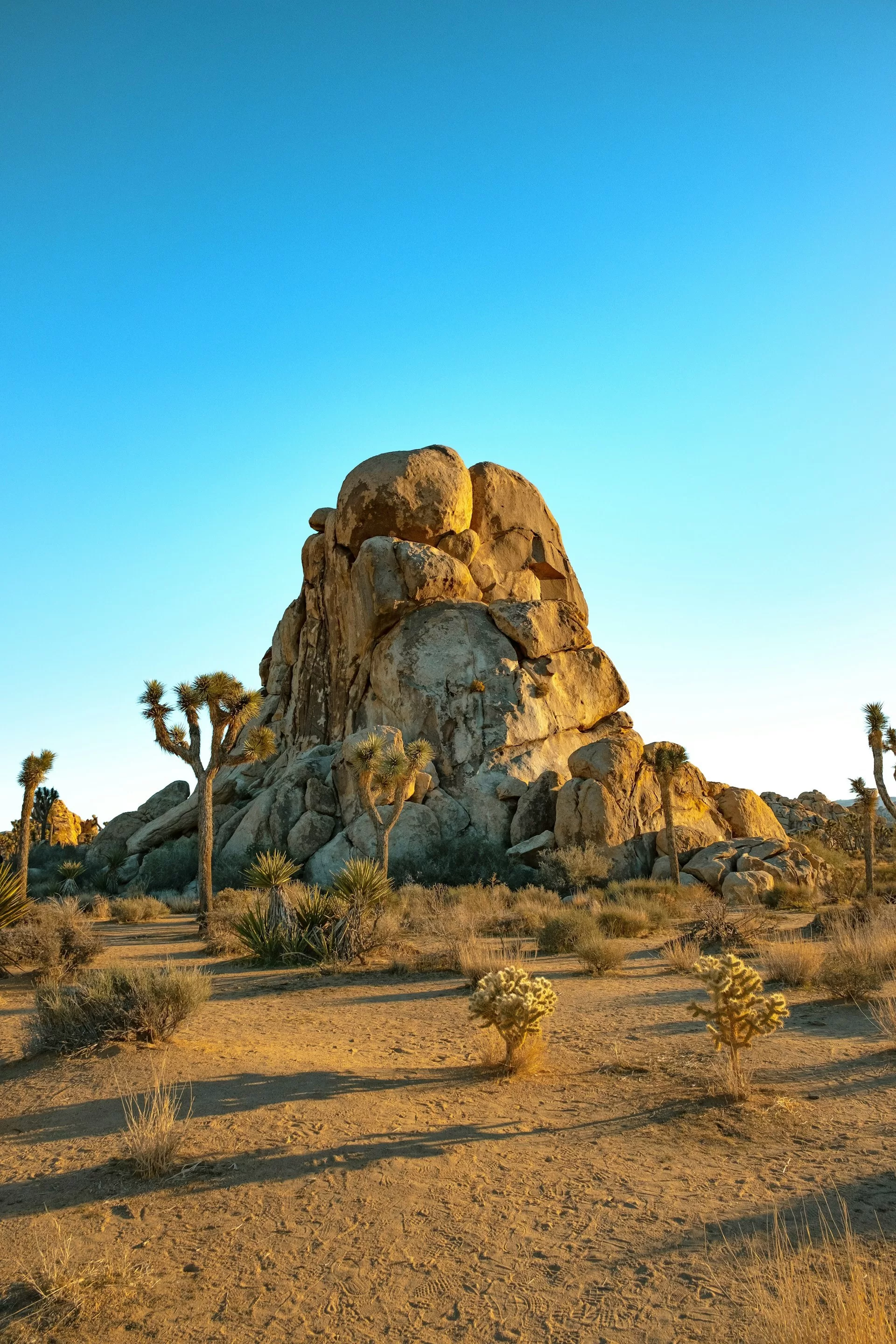Joshua Tree National Park