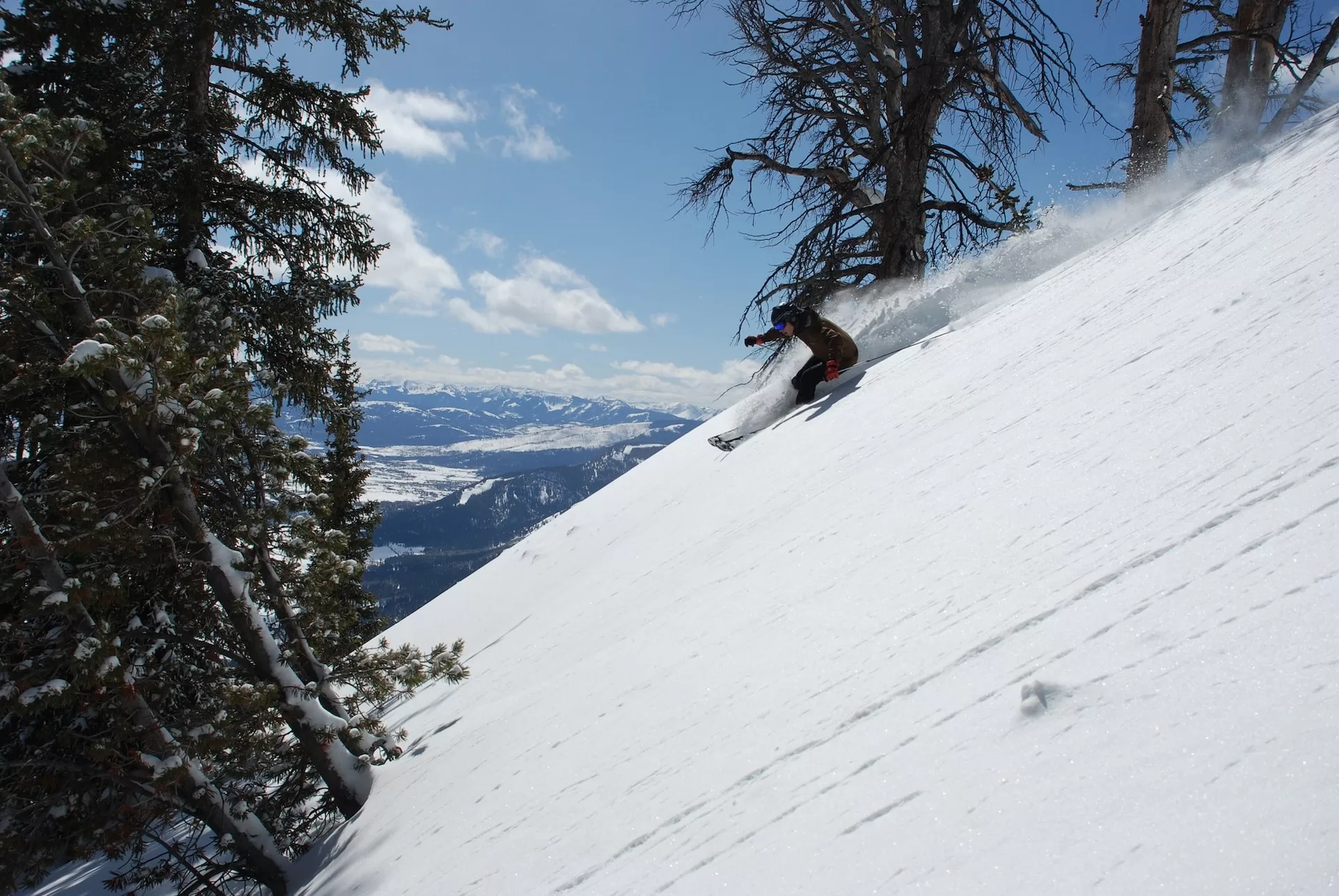 Een skiër die van een berg af gaat in Jackson Hole