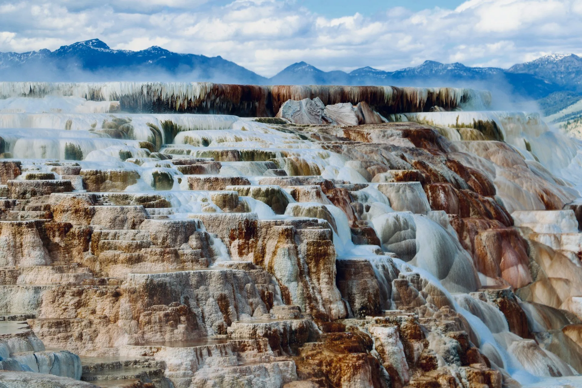 De dampende Mammoth Hot Springs in Yellowstone NP in Wyoming