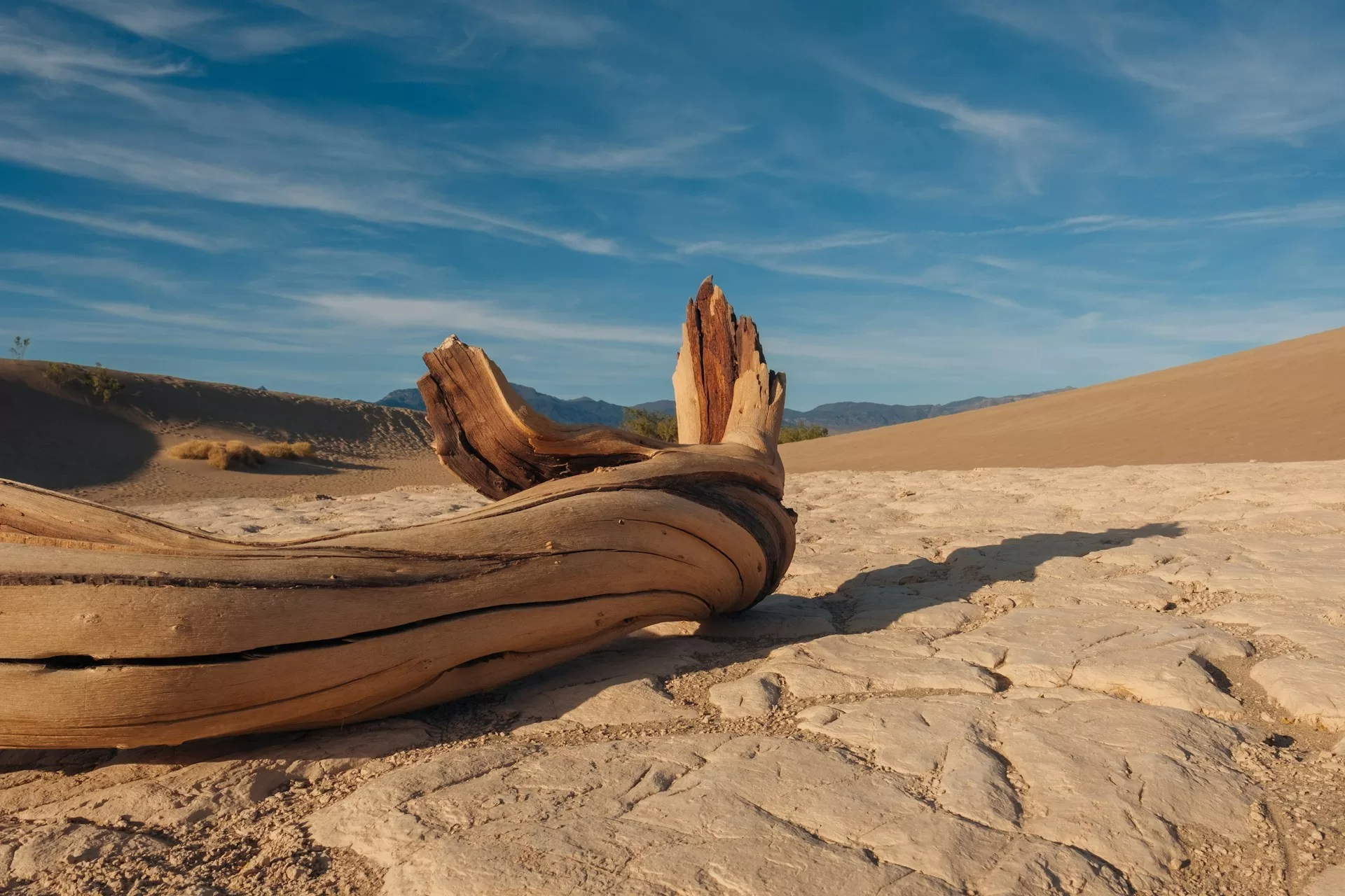 De woestijnvlaktes van Death Valley National Park in Las Vegas
